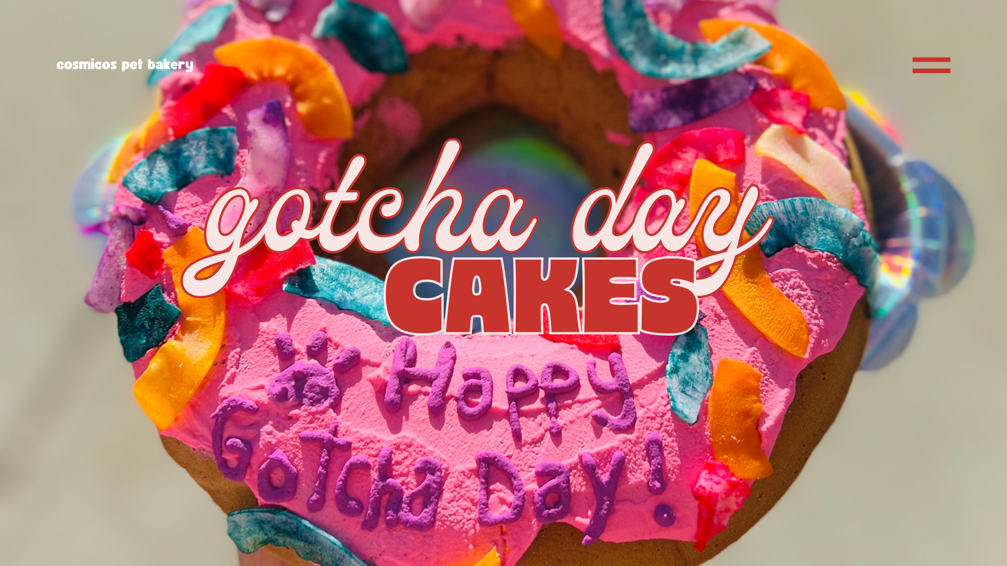 Gotcha Day? Here’s Our Craziest Pet Cake Creations!