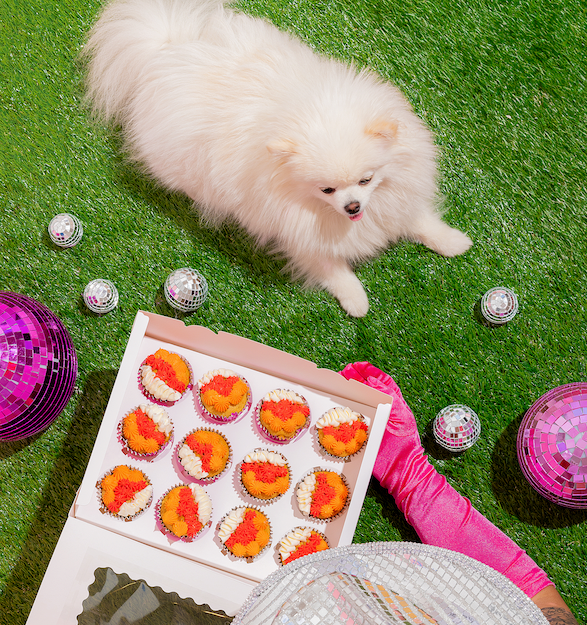 Custom Pupcakes – Handmade Celebration Cupcakes for Dogs ( read whole description before buying)