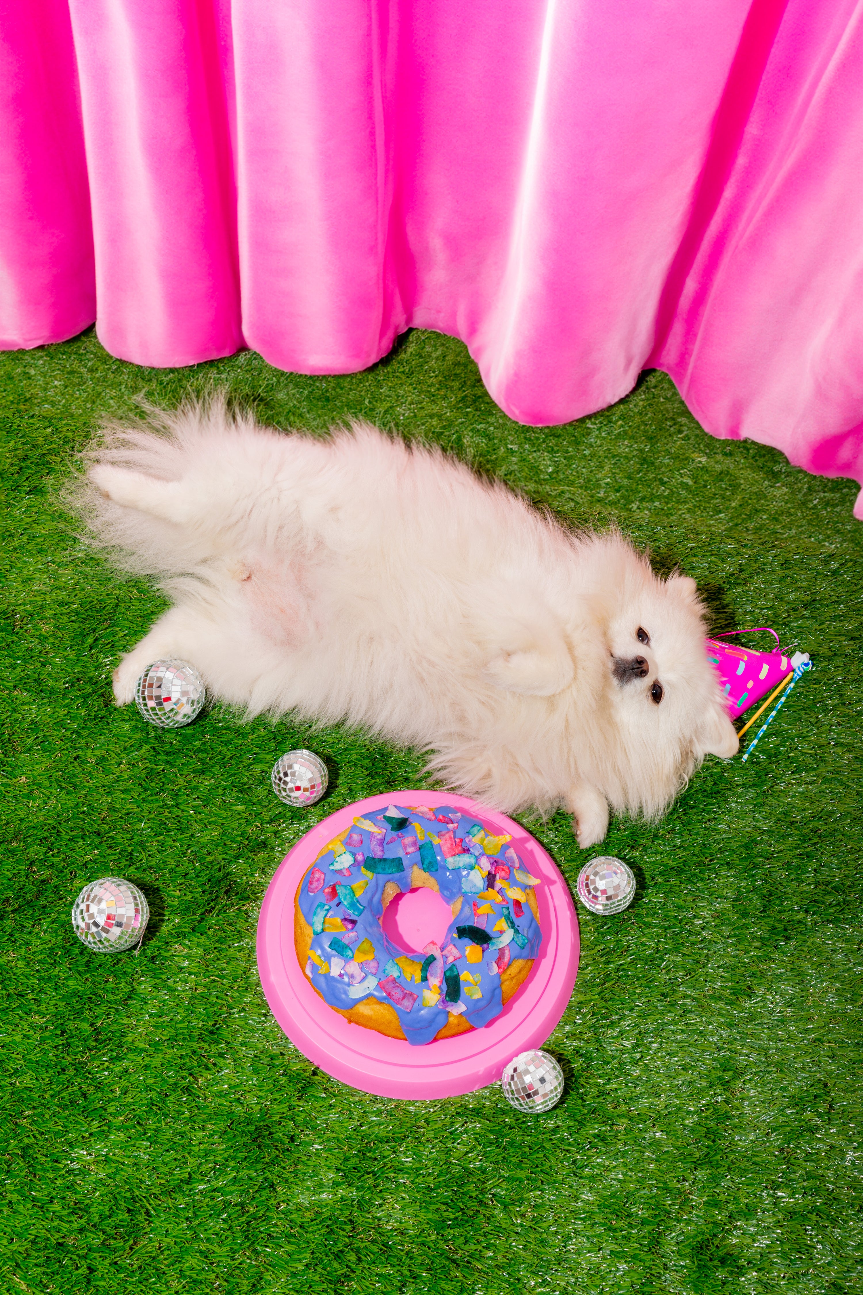 Fluffy Donut Cake – 8” Peanut Butter Celebration Cake for Dogs (read whole description before buying)