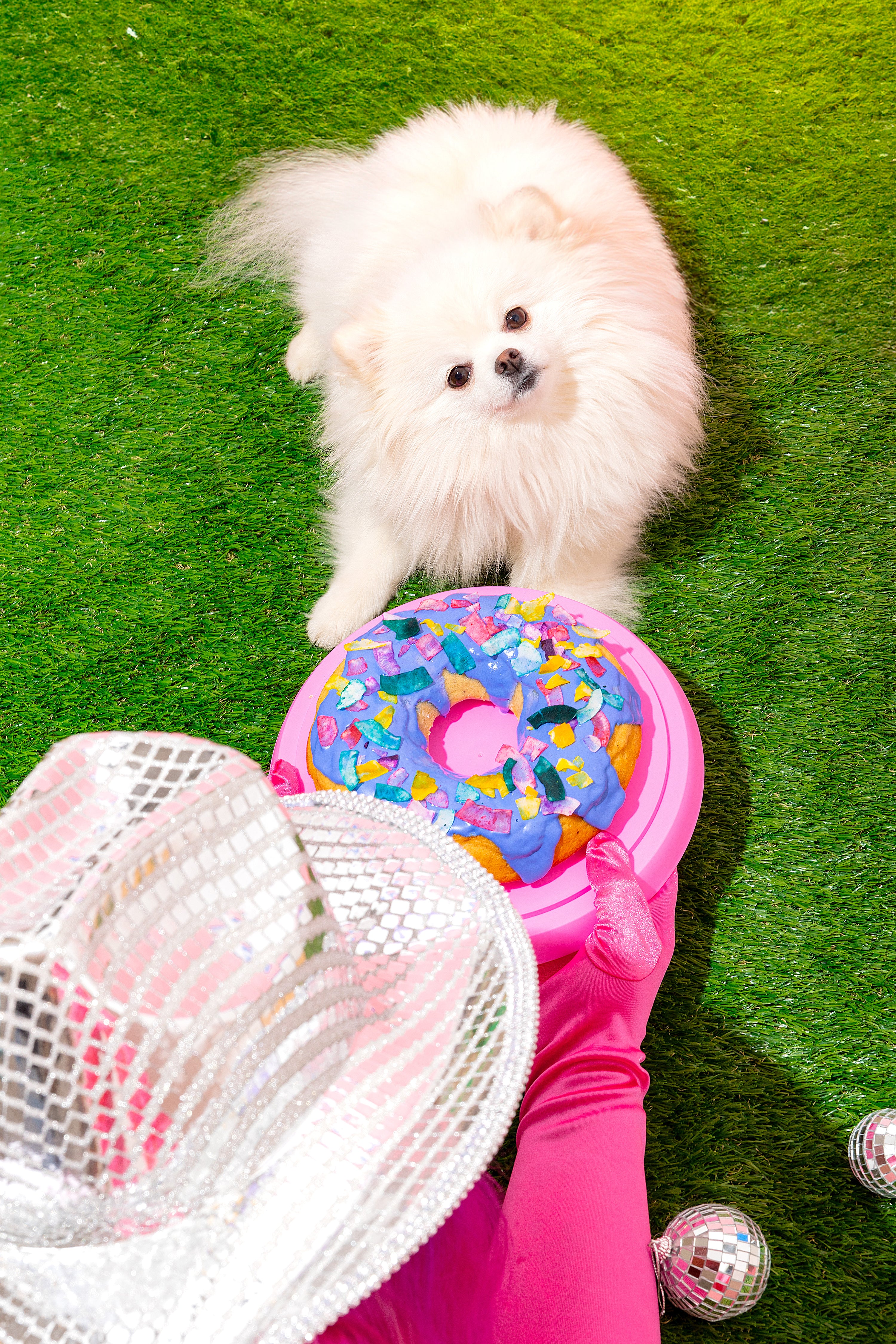 Fluffy Donut Cake – 8” Peanut Butter Celebration Cake for Dogs (read whole description before buying)