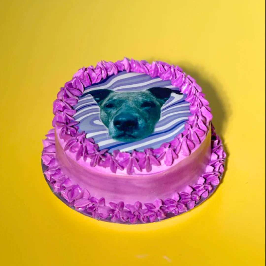 Custom 6-Inch Dog Cake – Perfect for Any Occasion (read whole description before buying)