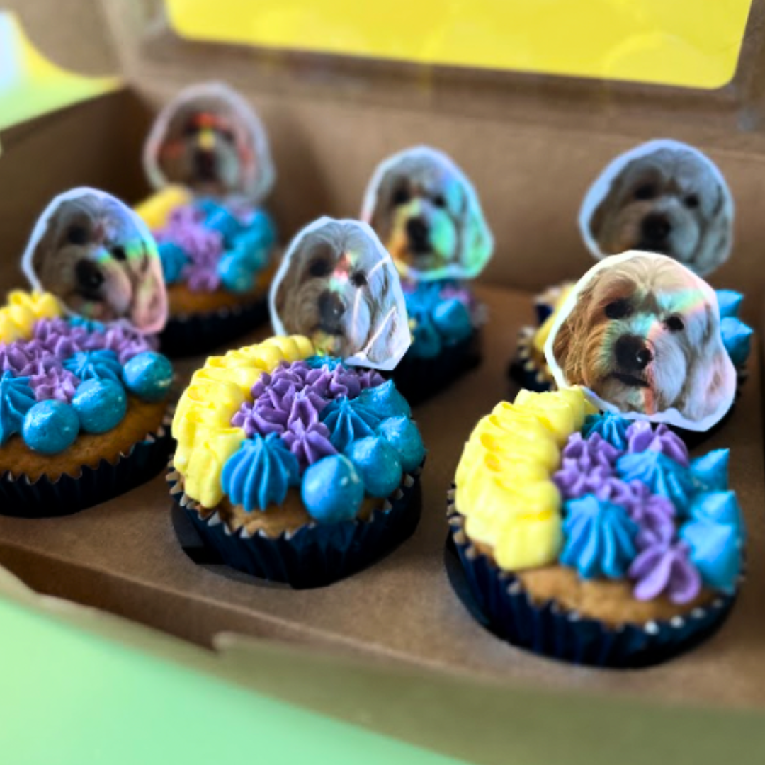 Custom Pupcakes – Handmade Celebration Cupcakes for Dogs ( read whole description before buying)