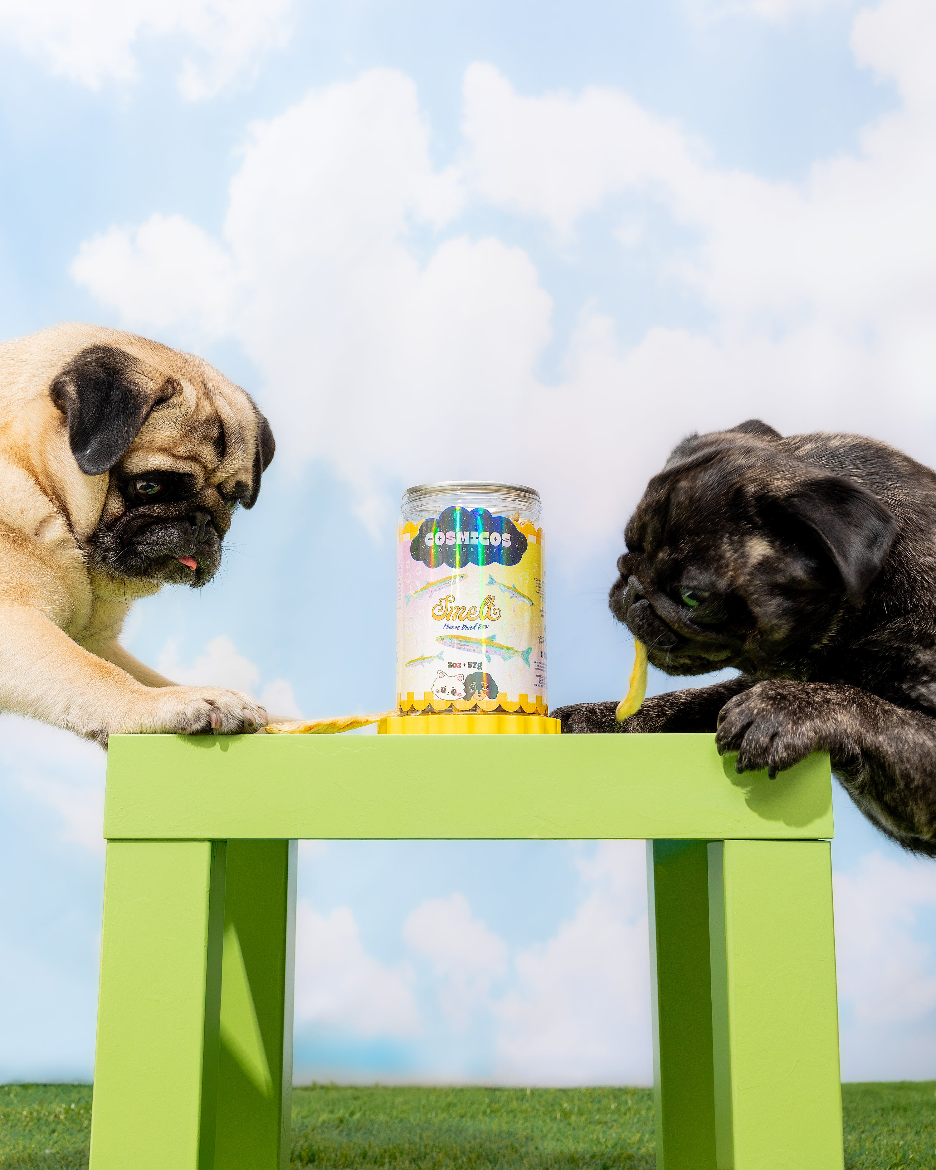 Smelt – Freeze-Dried Whole Fish Superfood for Cats And Dogs