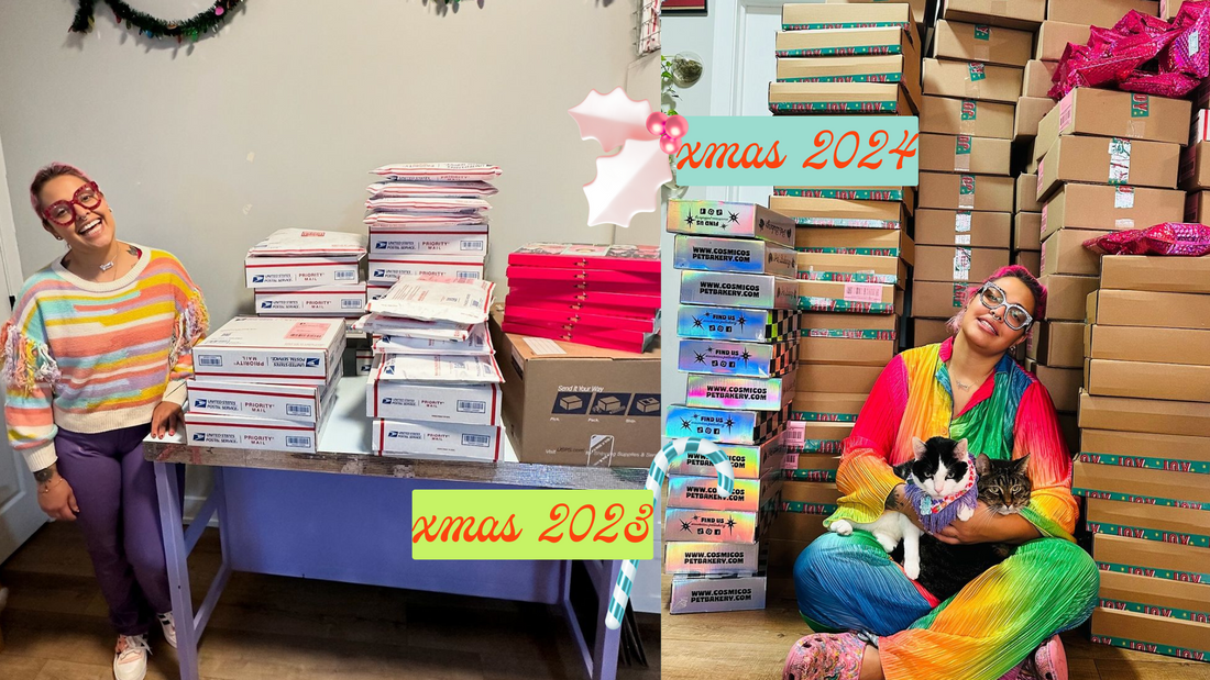 Cosmicos, one Christmas after 2023