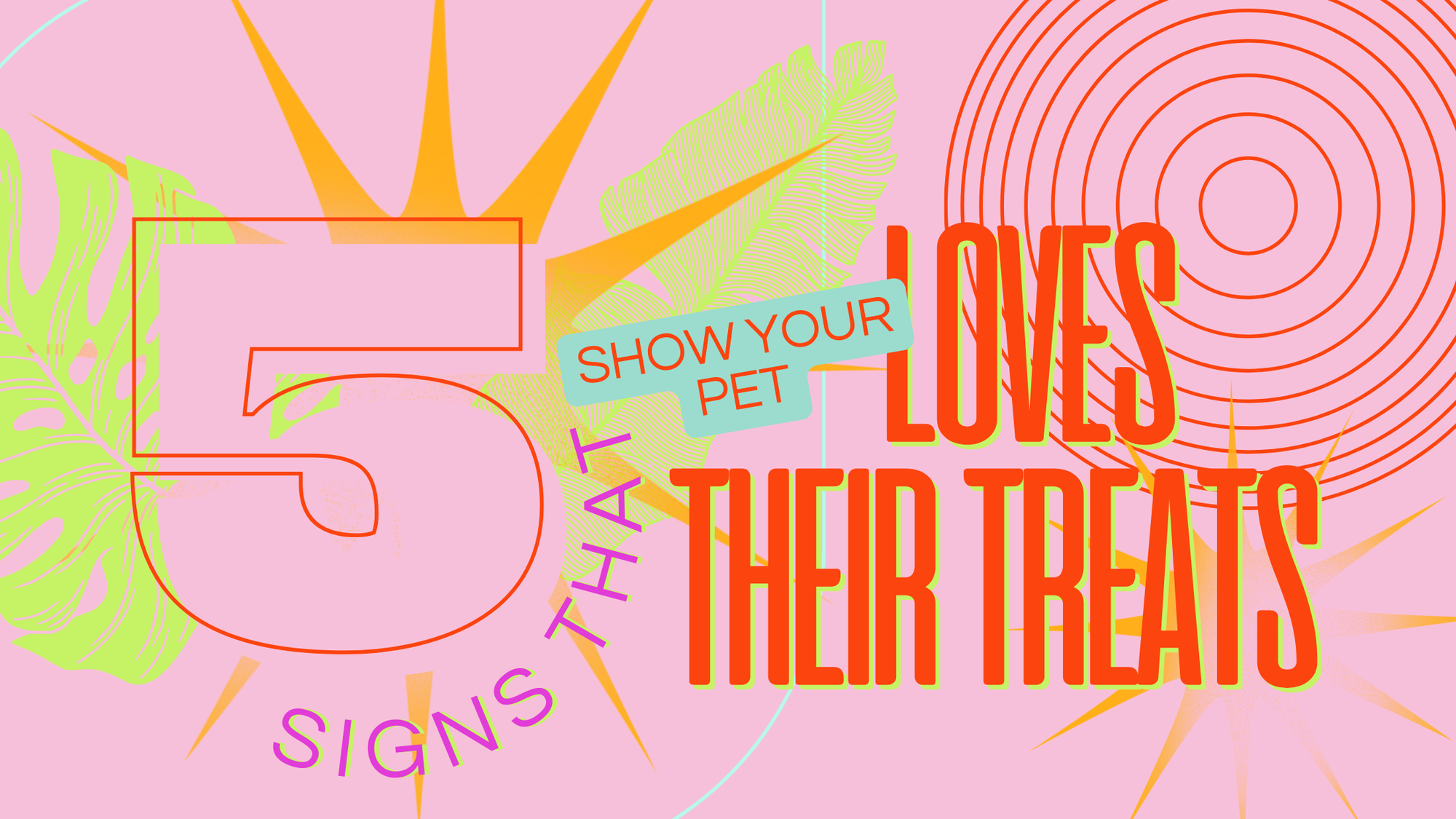 5 Signs That Show Your Pet Loves Their Treats