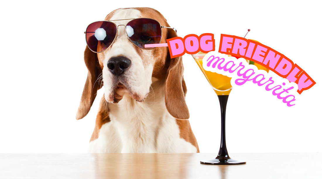 Create a dog friendly margarita with COSMICOS Pet Bakery