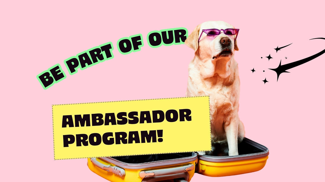 Join our 2025 Ambassadors Program call!