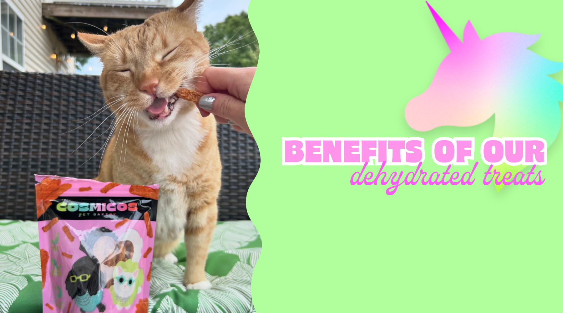 Some of the benefits of our dehydrated treats FOR CATS