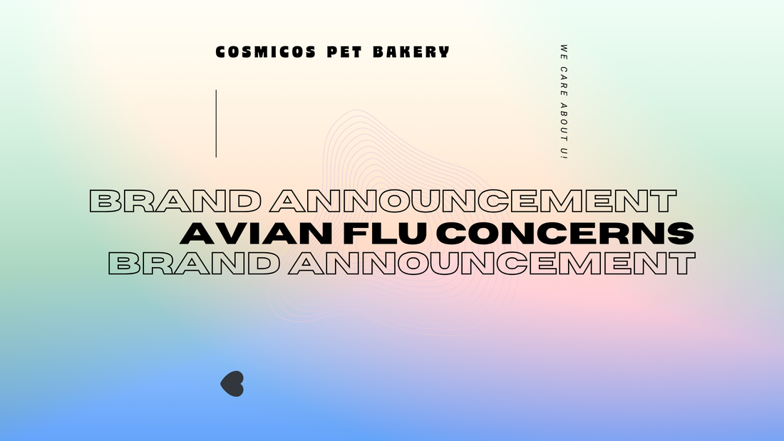 AVIAN FLU: WHAT YOU NEED TO KNOW ABOUT OUR PRODUCTS