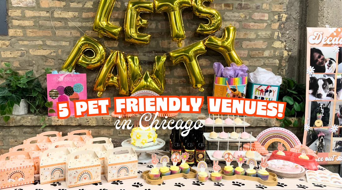 5 Pet-Friendly Venues in Chicago