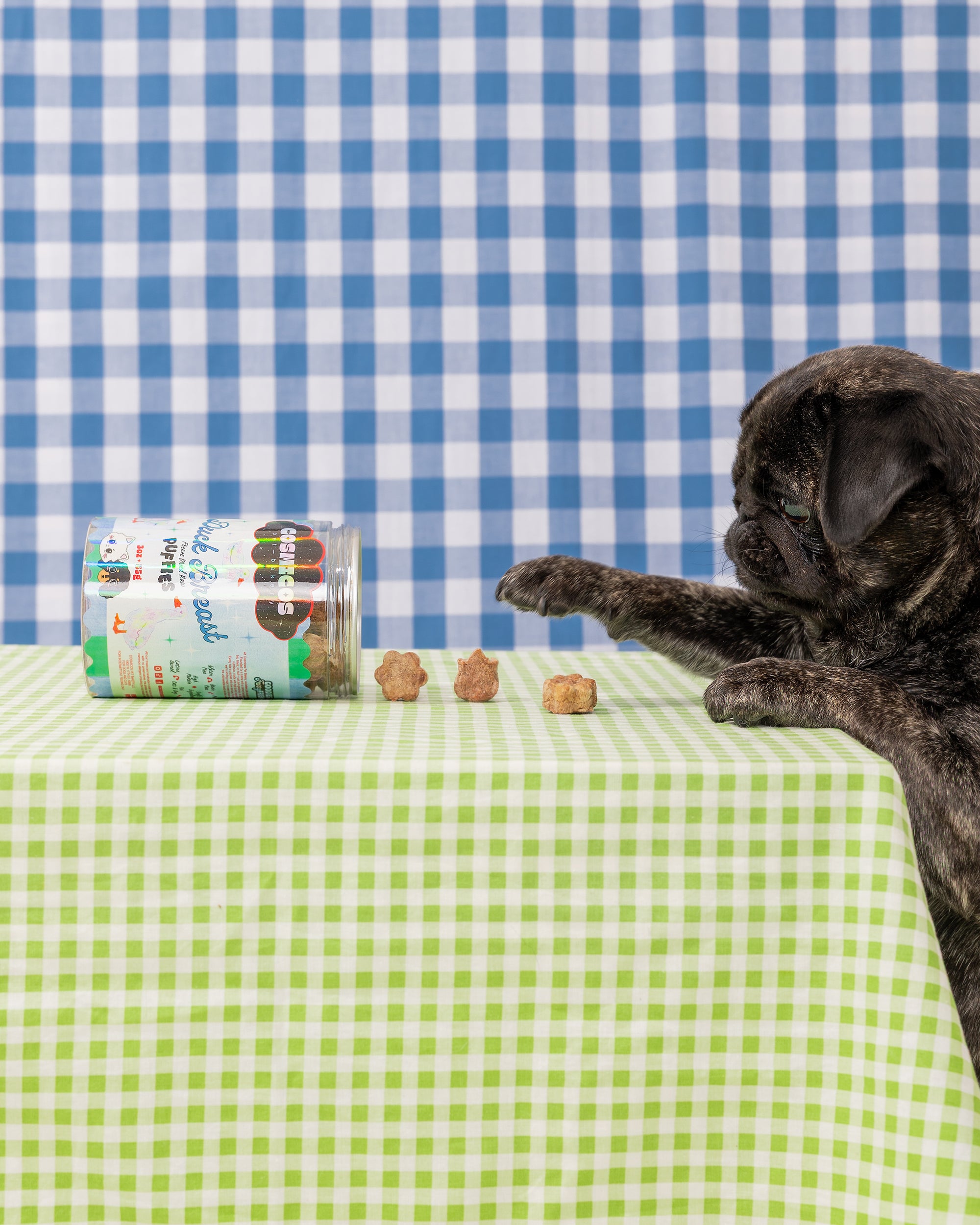 Duck Breast Puffies – Freeze-Dried Single-Ingredient Treats for Cats And Dogs