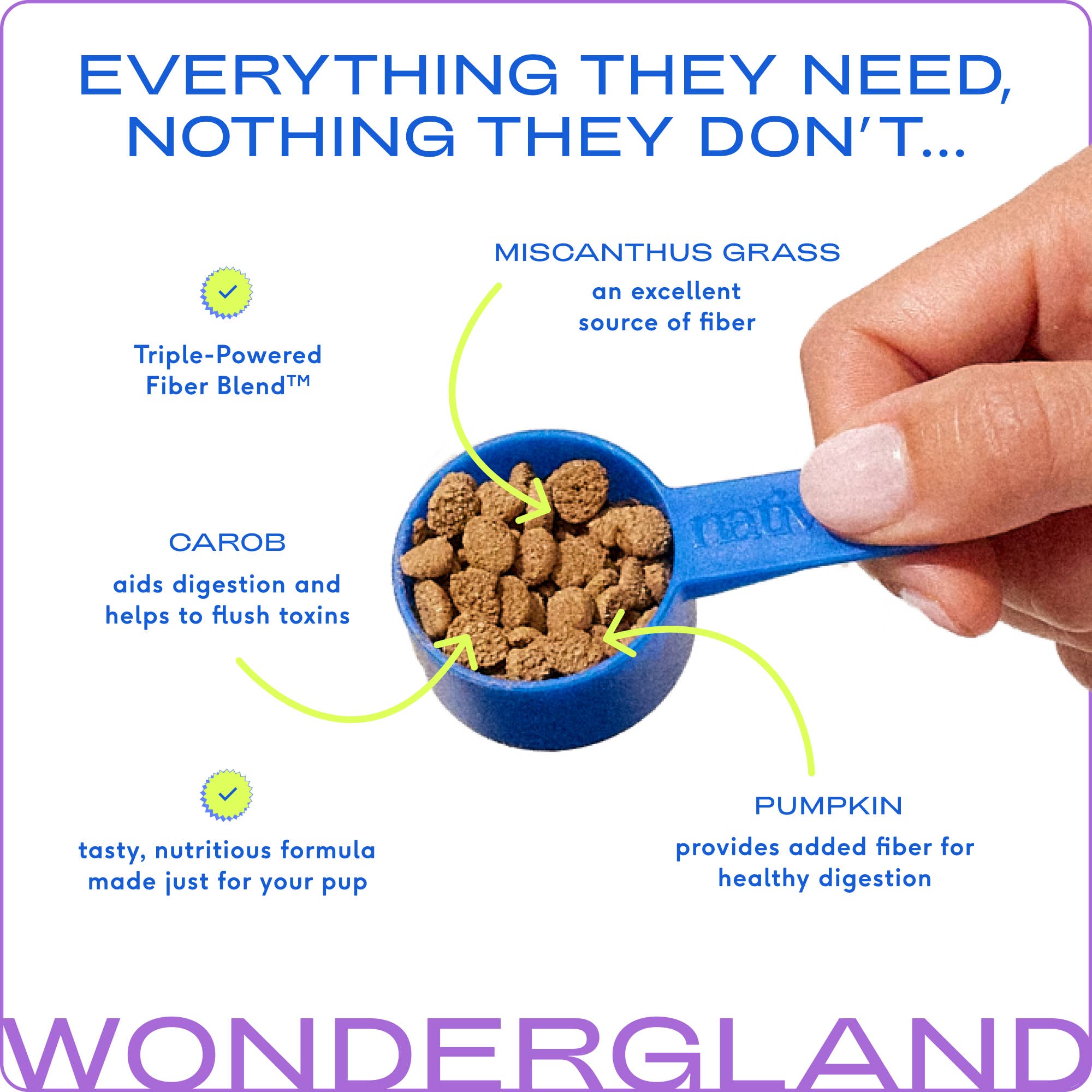 Native Pets - WonderGland Anal Gland Pumpkin Fiber & Digestive Supplement