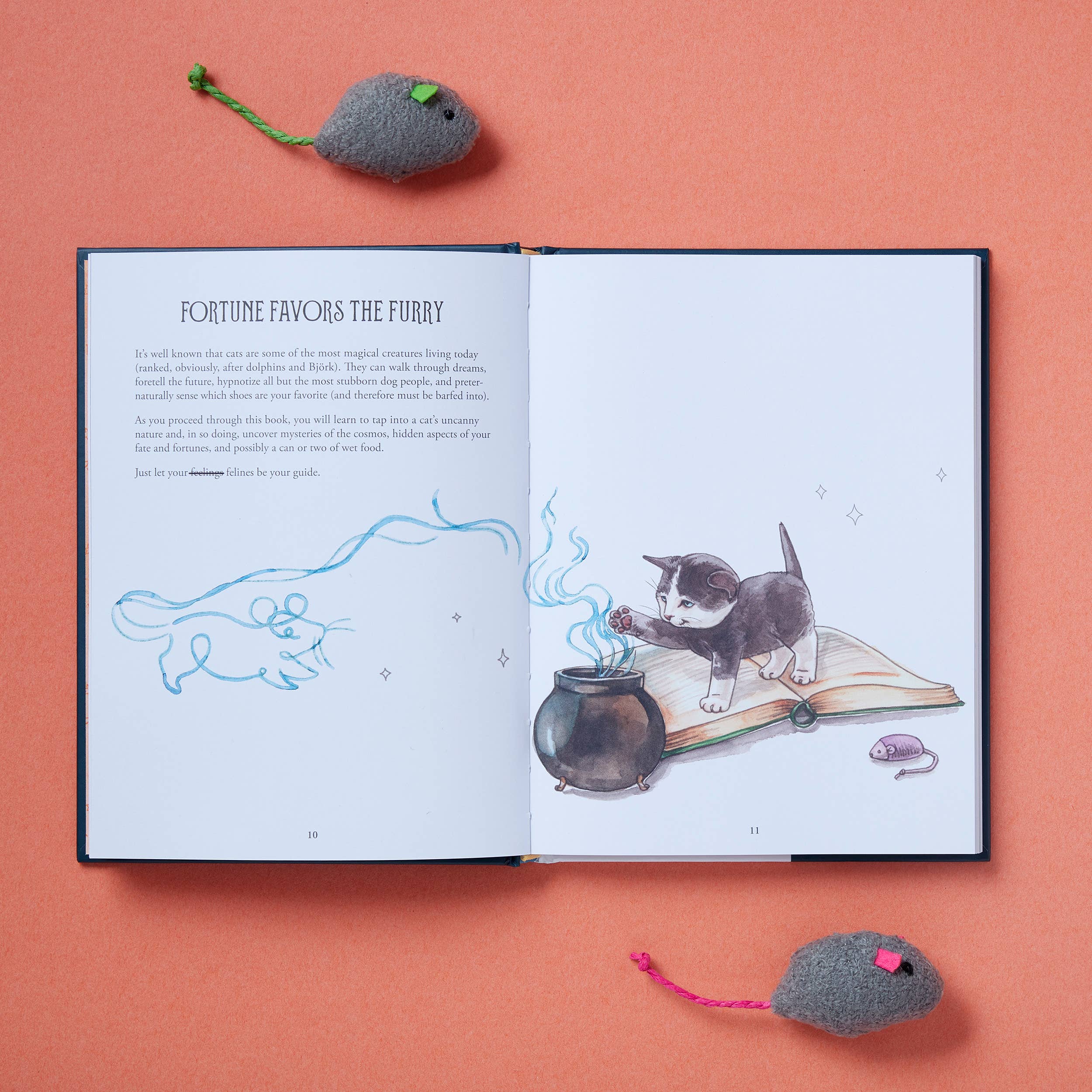 Chronicle Books - Pawmistry