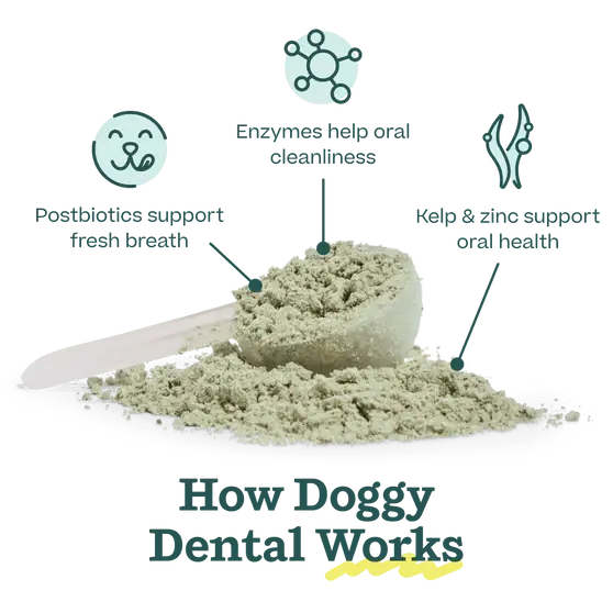Woof - Pupsicle Mix- Doggy Dental