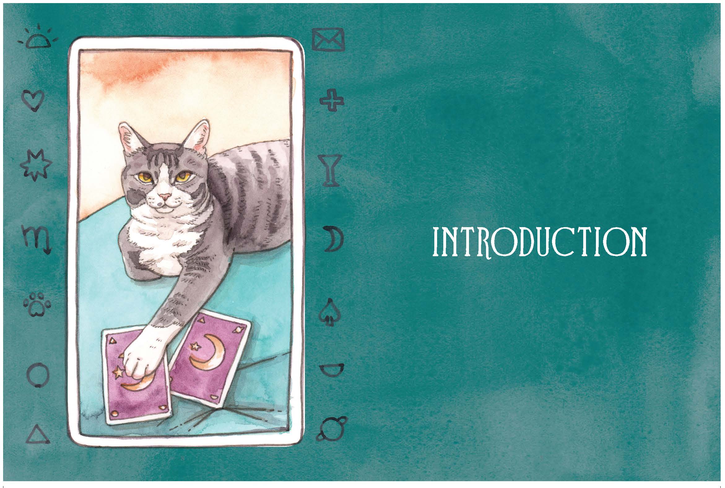 Chronicle Books - Pawmistry