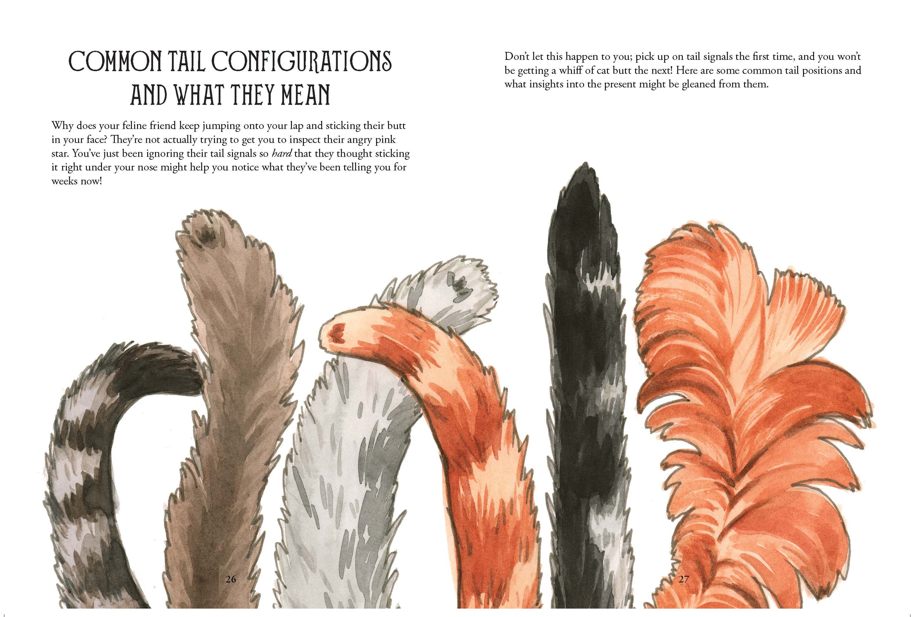 Chronicle Books - Pawmistry
