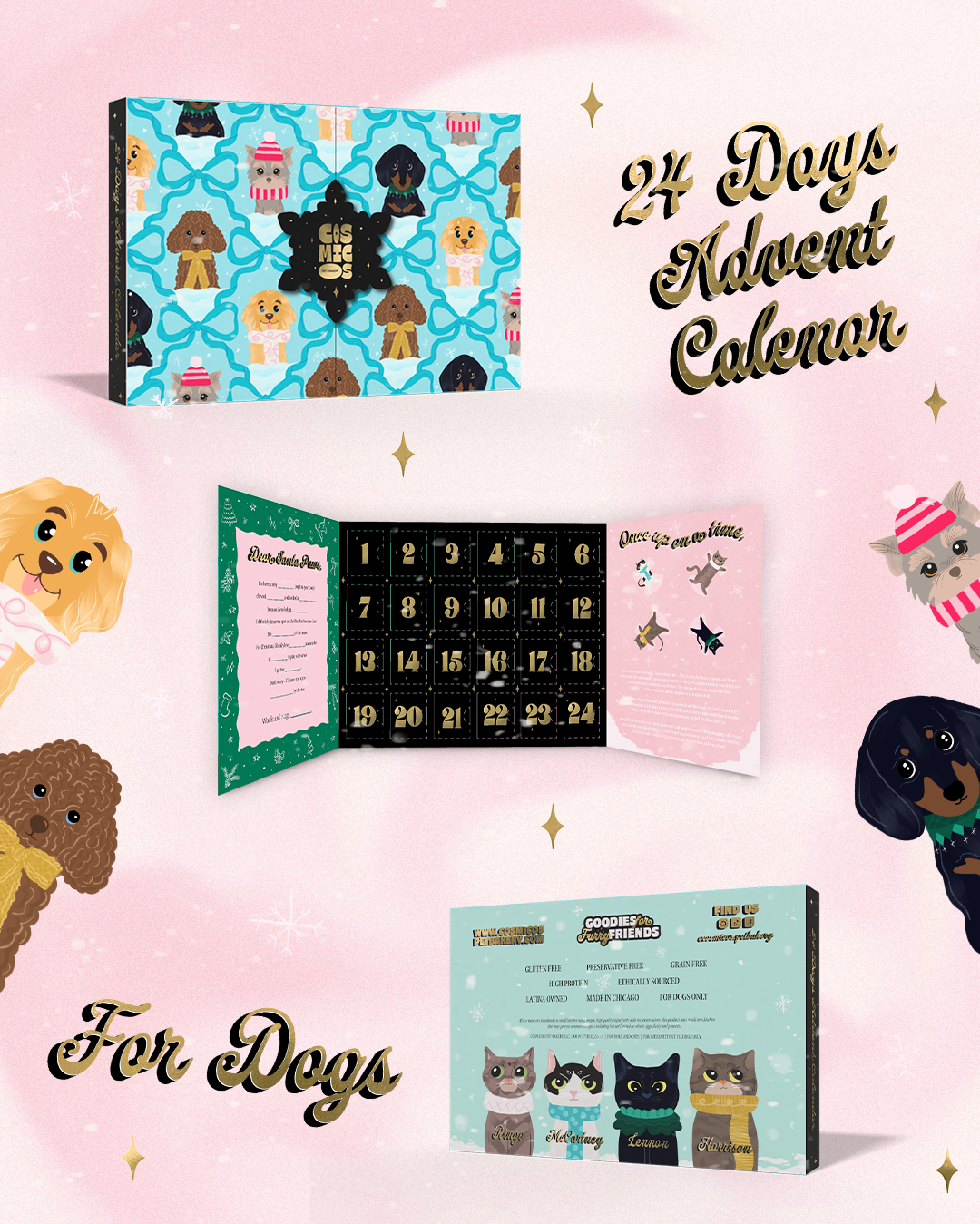 Cosmicos 24-Day Advent Calendar for Dogs