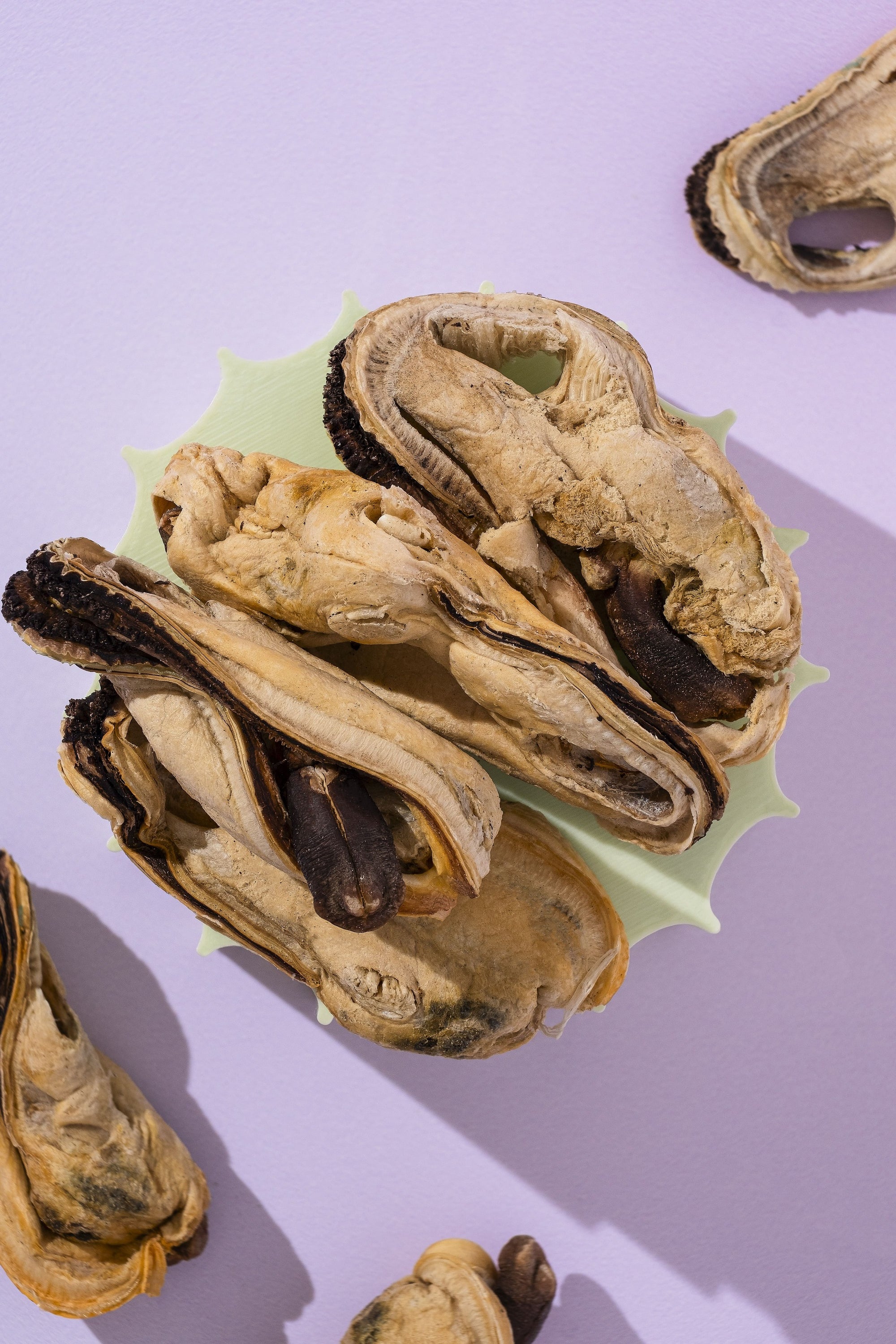Green Lipped Mussels – Freeze-Dried Superfood Treats for Cats And Dogs