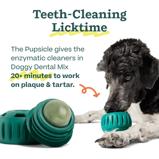 Woof - Pupsicle Mix- Doggy Dental