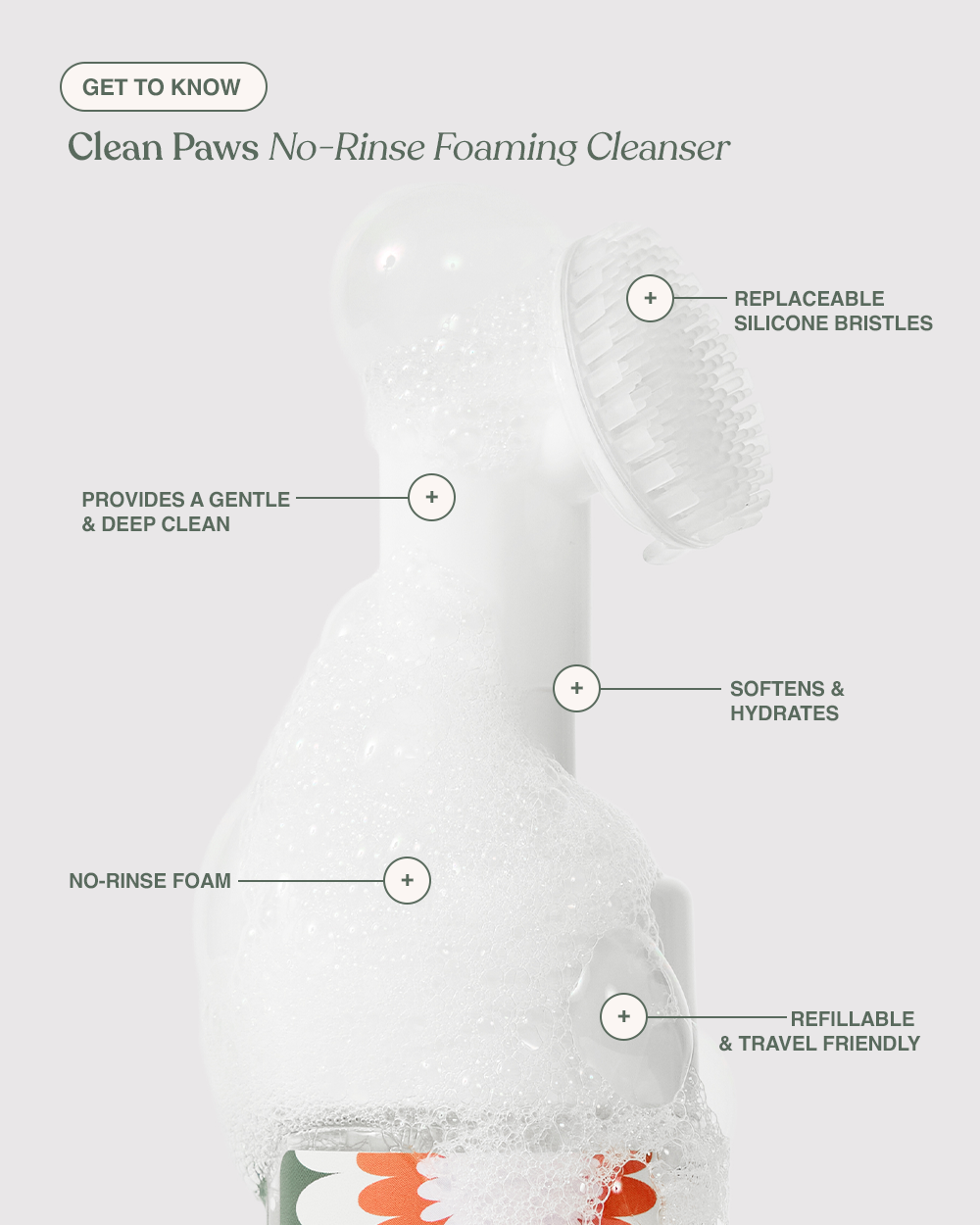 Dandylion - Clean Paws No-Rinse Foaming Cleanser