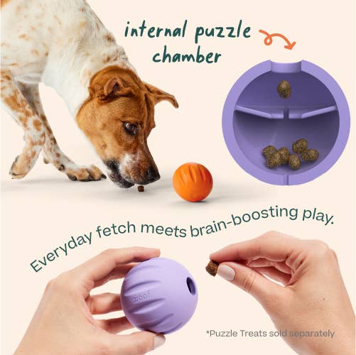 Woof - FlyBall Single
