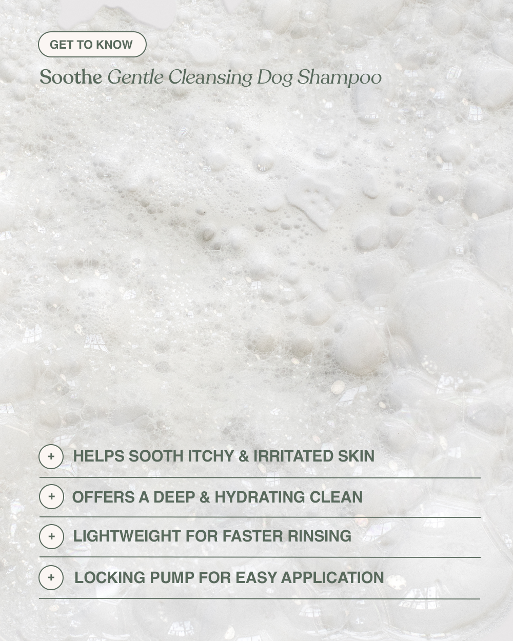 Dandylion - Soothe Gentle Cleansing Dog Shampoo