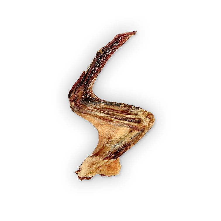Dehydrated Duck Wings