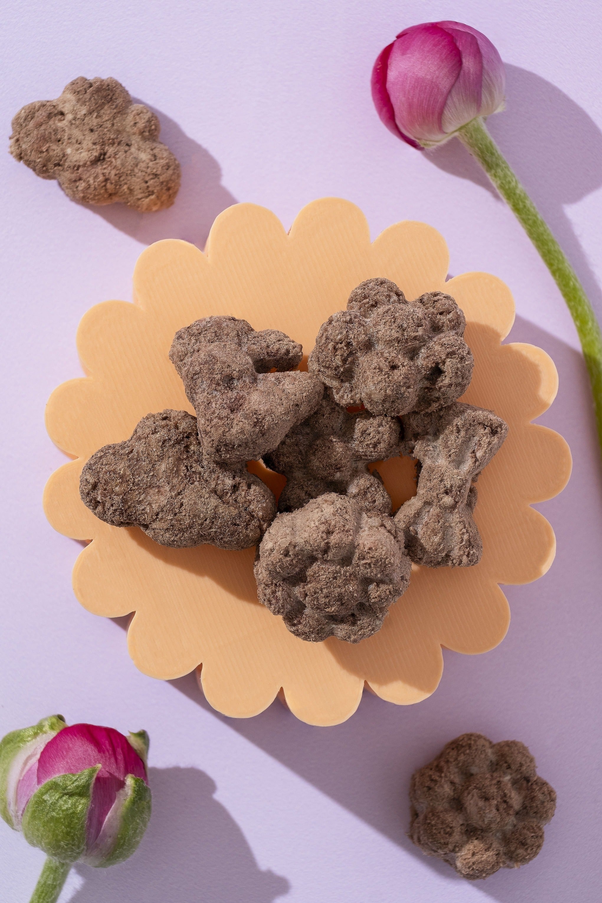 Venison Puffies – Freeze-Dried Superfood Treats for Cats And Dogs