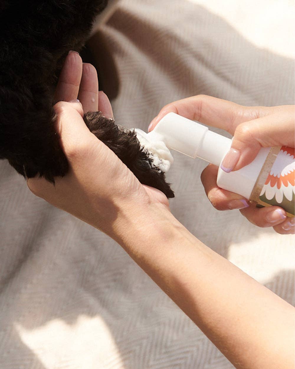 Dandylion - Clean Paws No-Rinse Foaming Cleanser