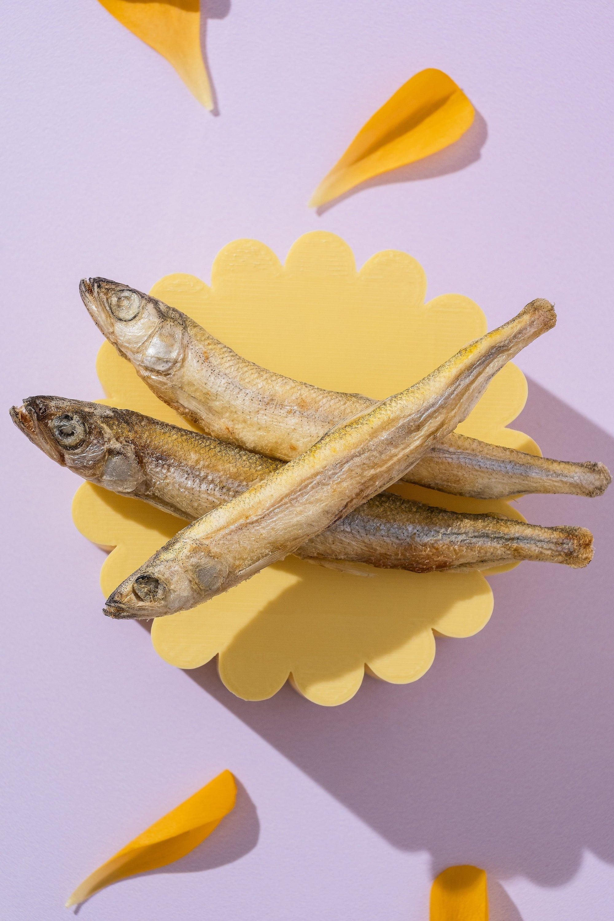 Smelt – Freeze-Dried Whole Fish Superfood for Cats And Dogs