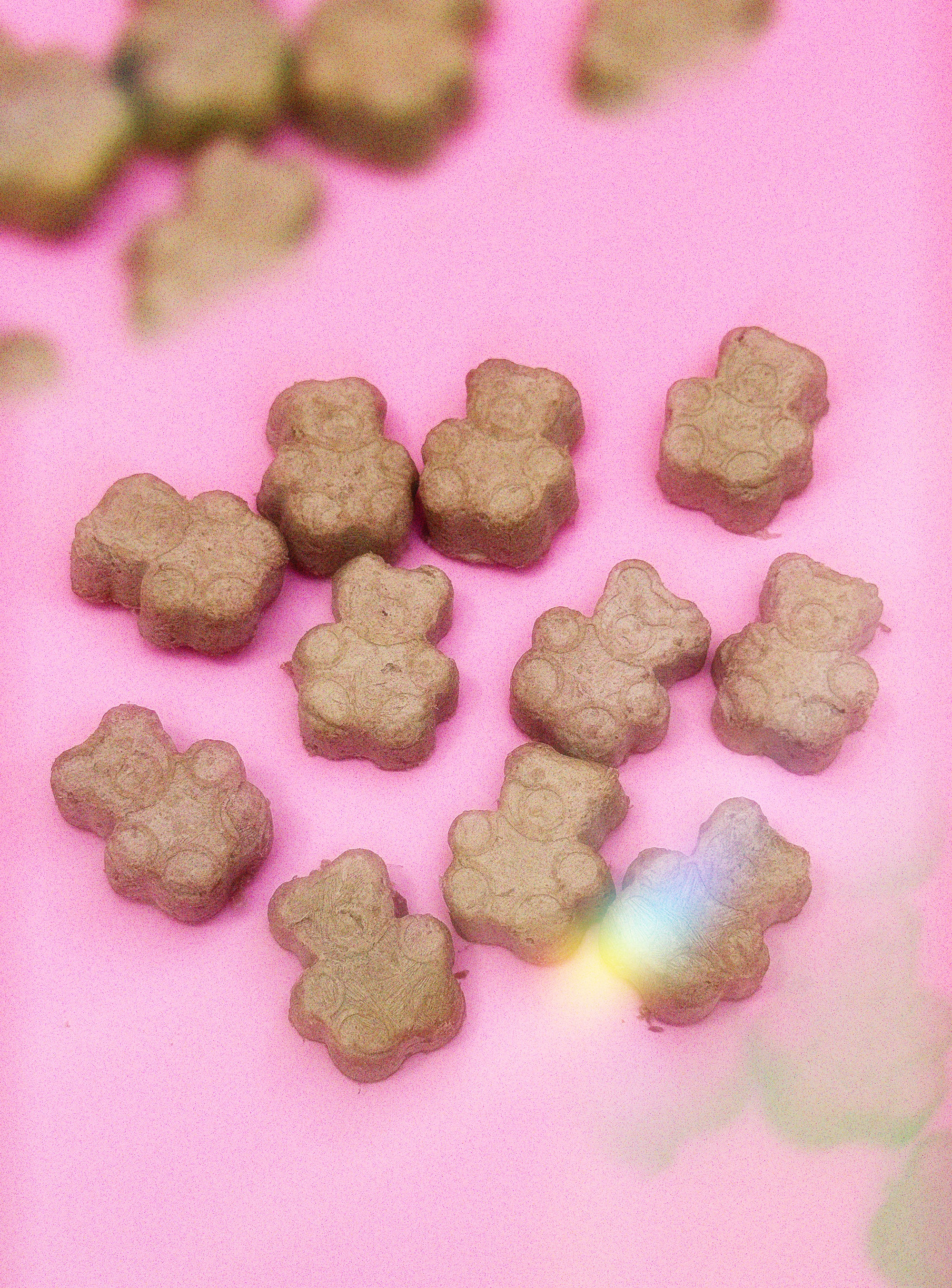 Wagyu Ribeye Puffies - Freeze-Dried Treats for Cats And Dogs