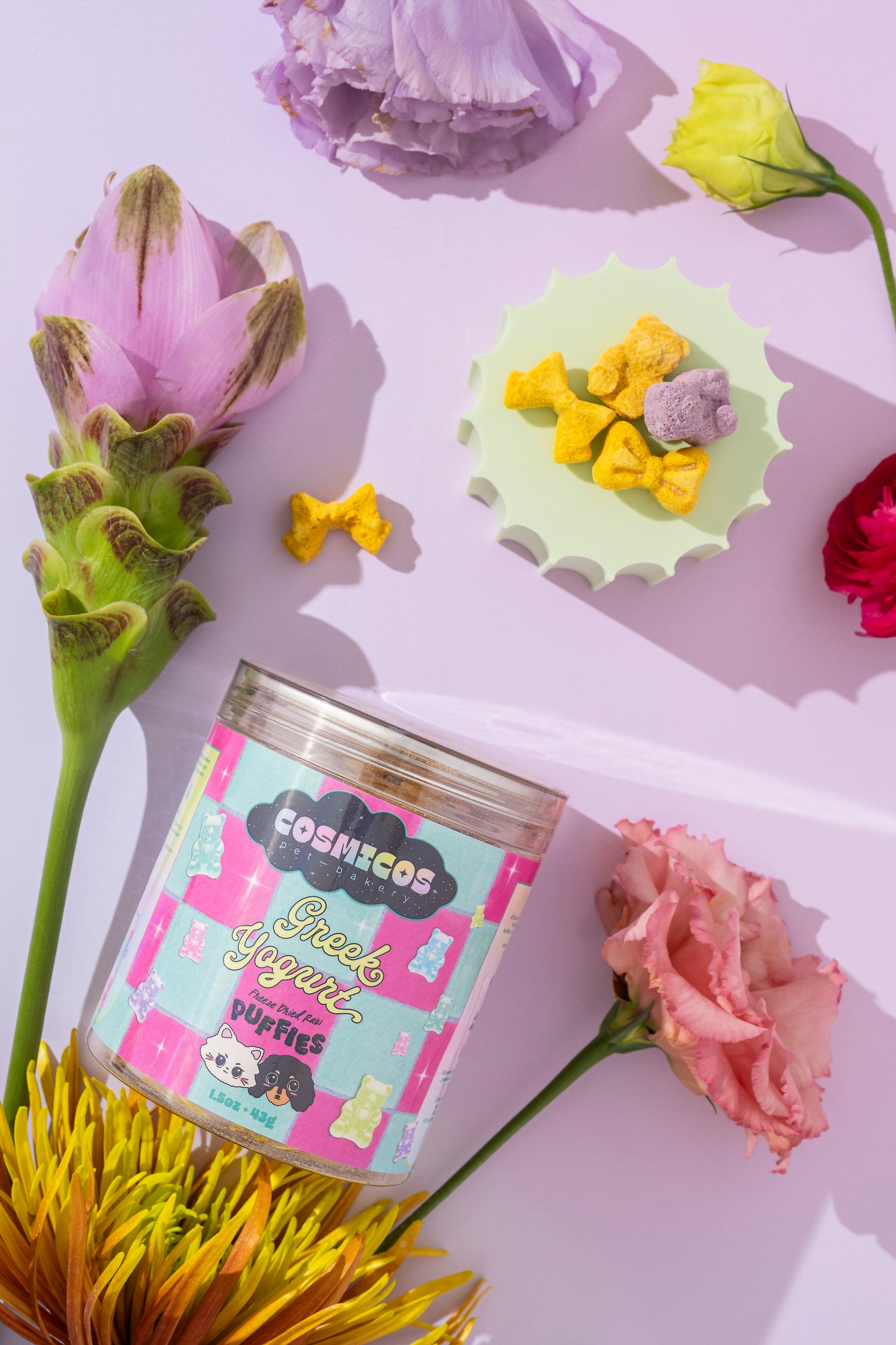 Greek Yogurt Bears  – Freeze-Dried Superfood Treats for Cats And Dogs