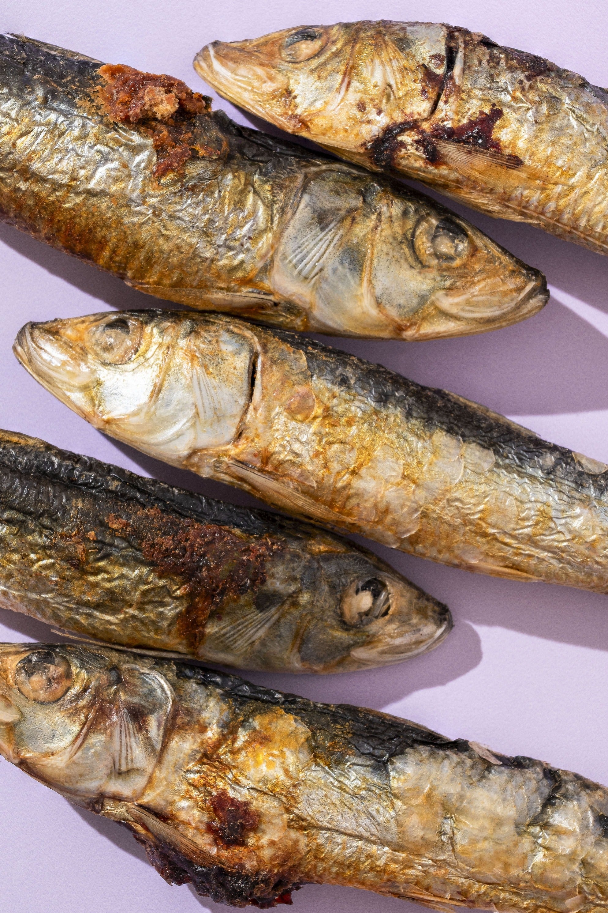 Sardines  – 100% Freeze-Dried Whole Sardines Treats for Cats And Dogs