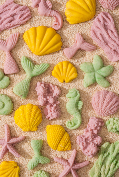 Goat Milk Seasonal Treats – Sea Life Summer Treats