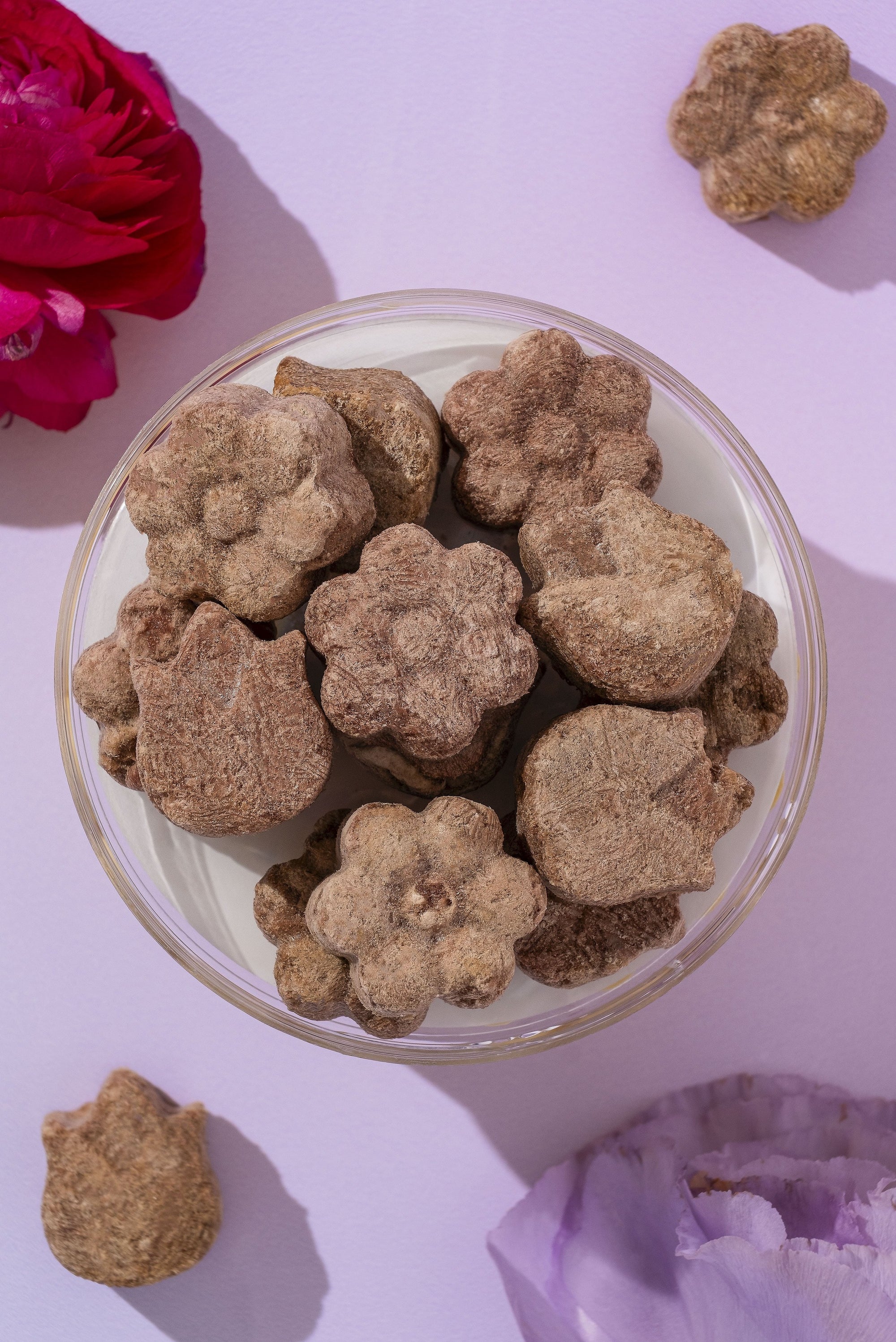 Duck Breast Puffies – Freeze-Dried Single-Ingredient Treats for Cats And Dogs
