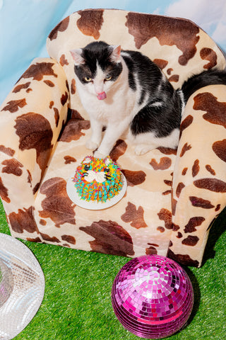 Chicken  Birthday Cake for Kitties