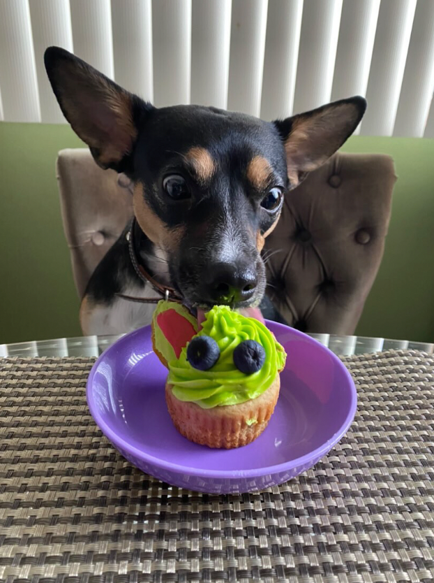 Custom PupCakes