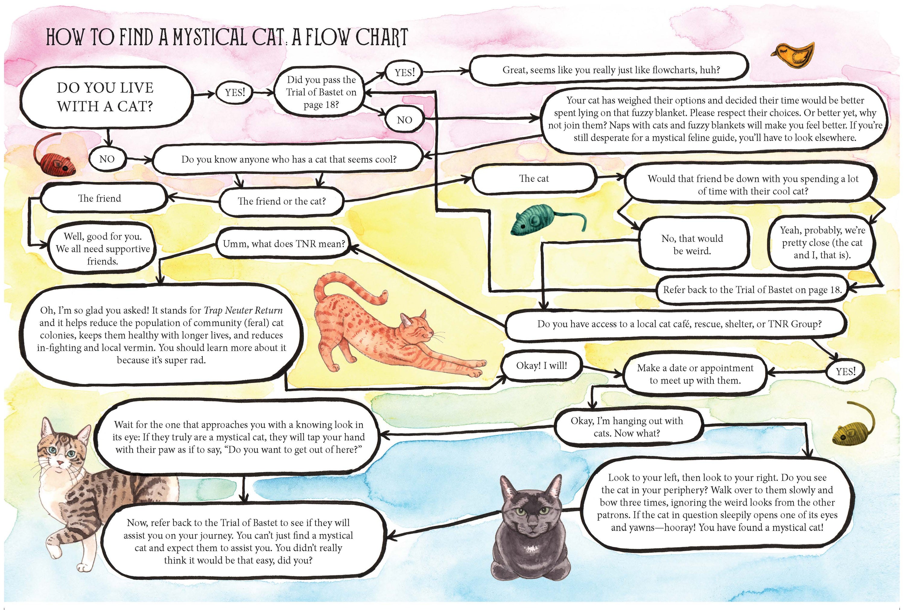 Chronicle Books - Pawmistry