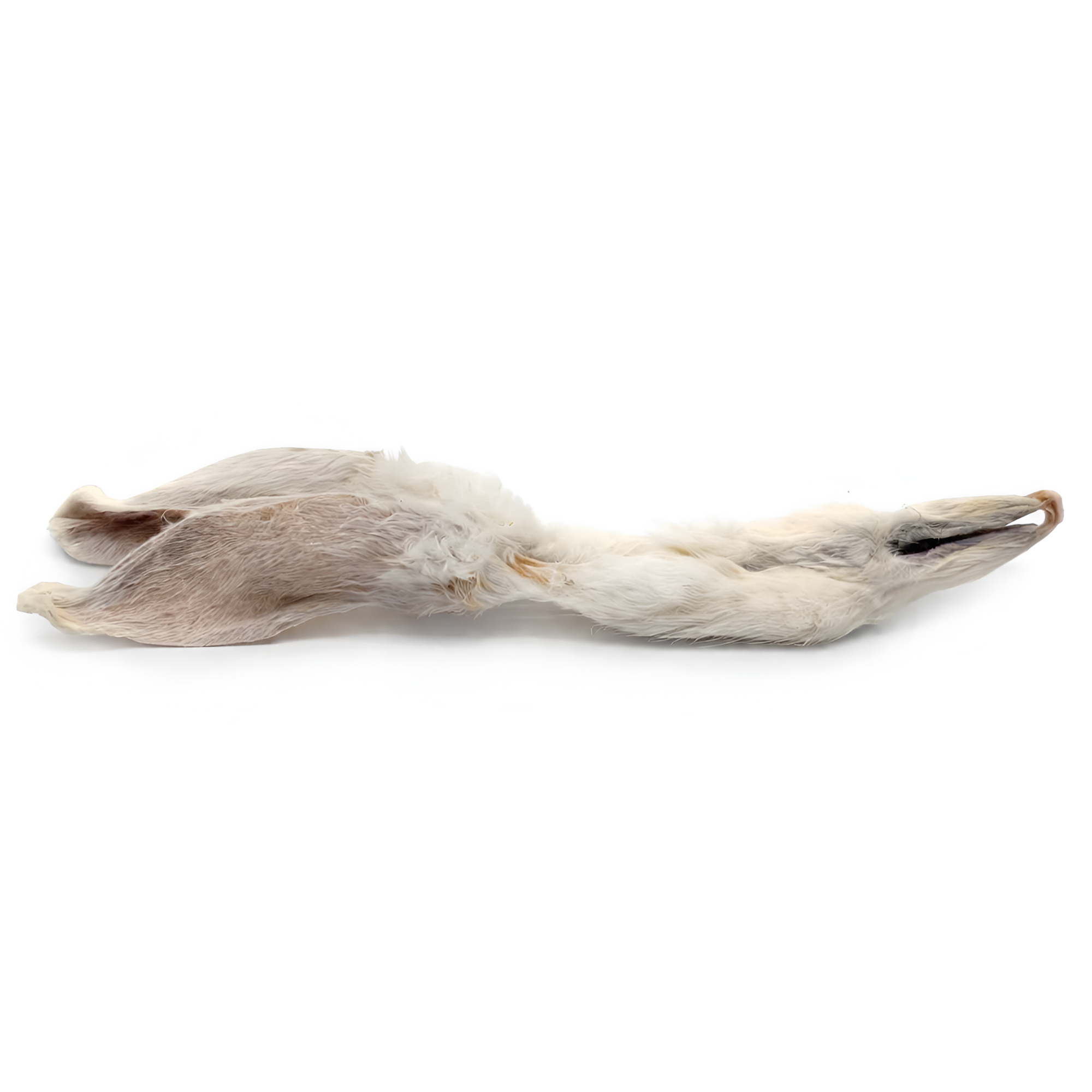Rabbit Ears with Fur Dog Chews | All-Natural