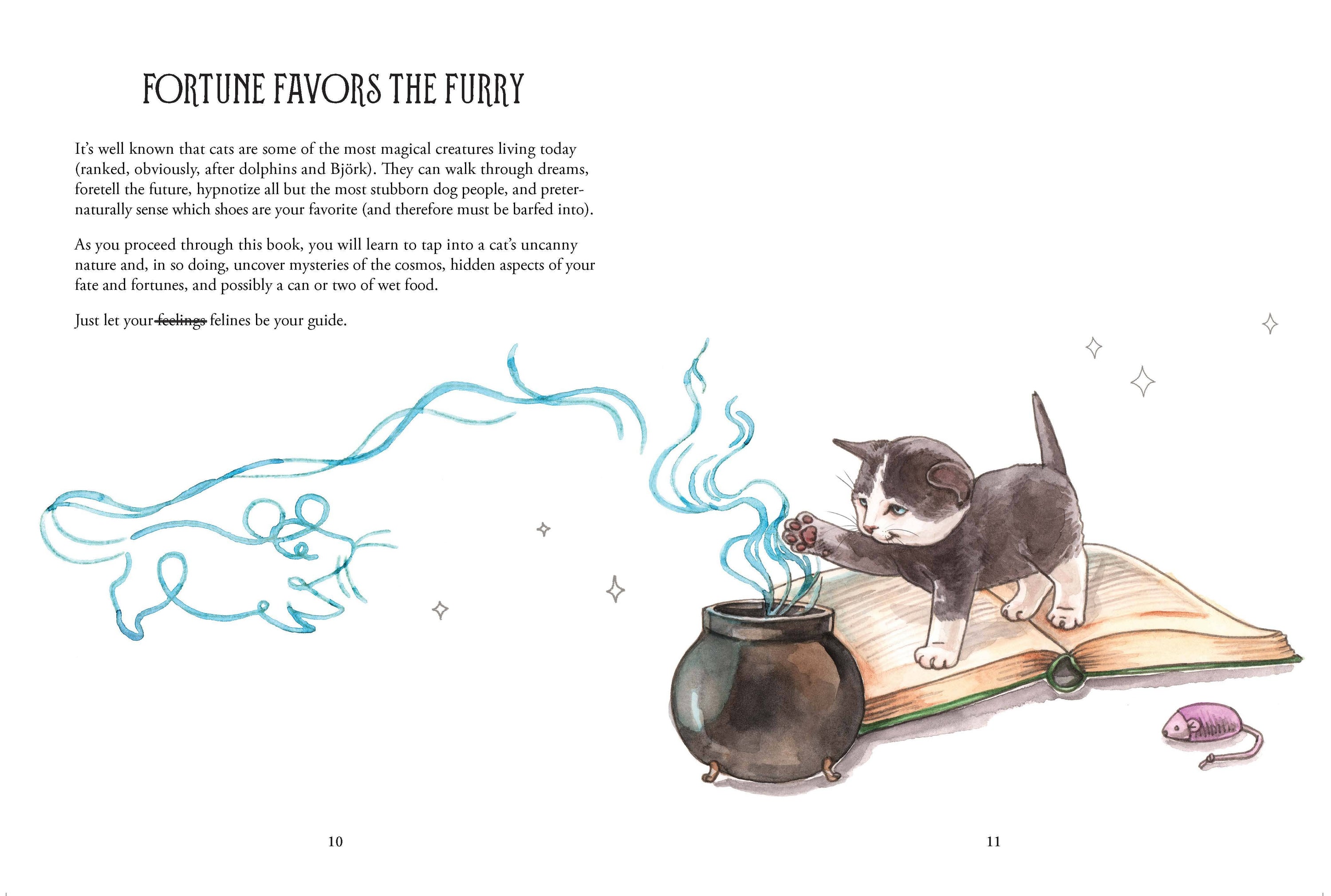 Chronicle Books - Pawmistry