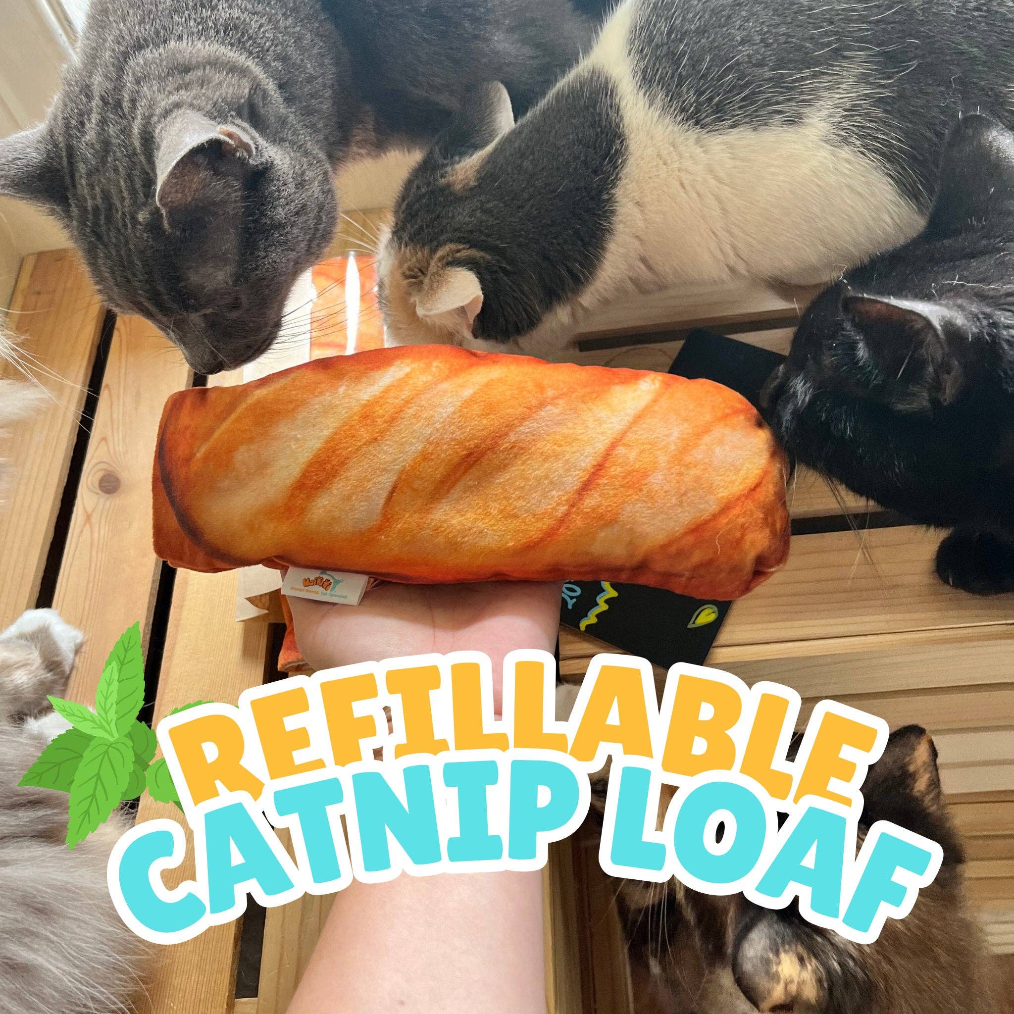 HaiKitti - REFILLABLE Loaf  CAT toy