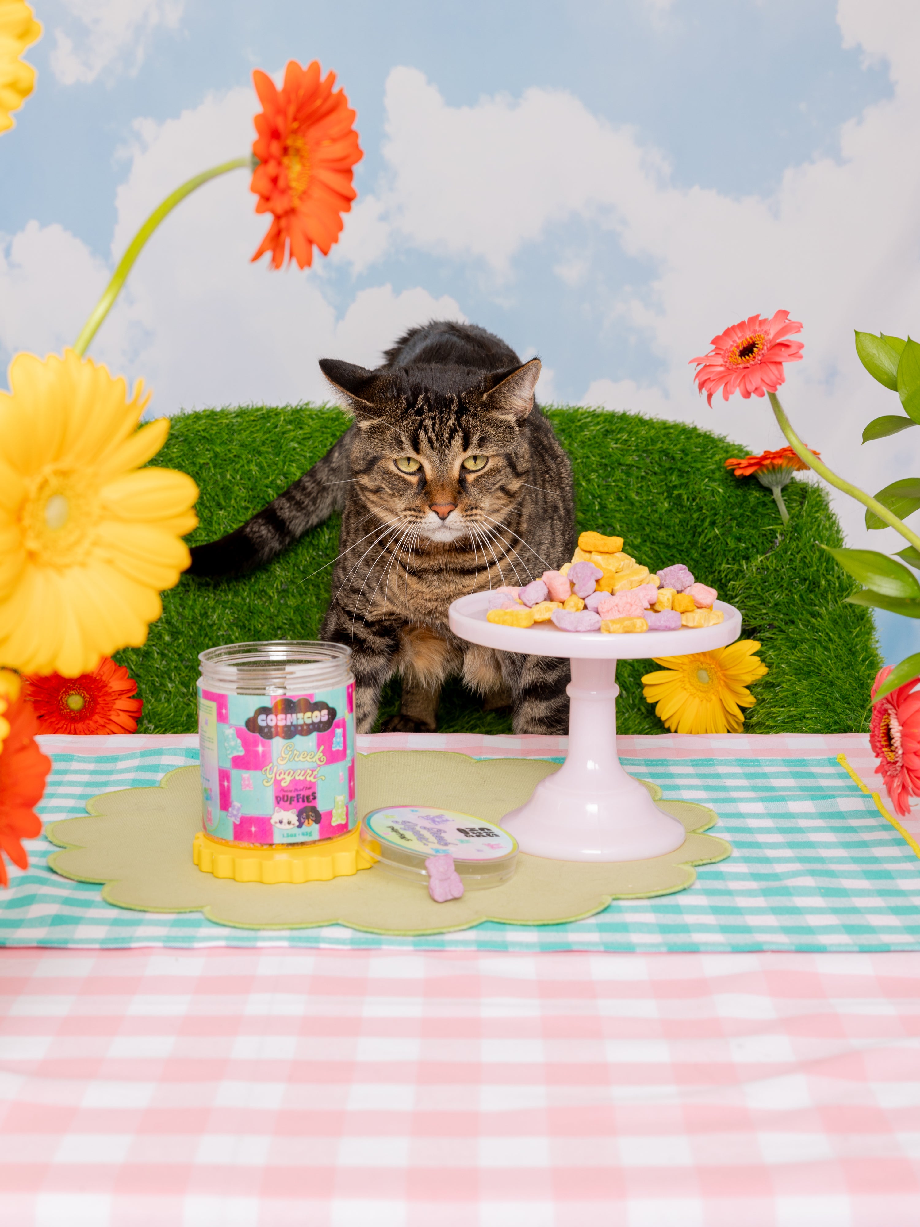 Greek Yogurt Bears  – Freeze-Dried Superfood Treats for Cats And Dogs