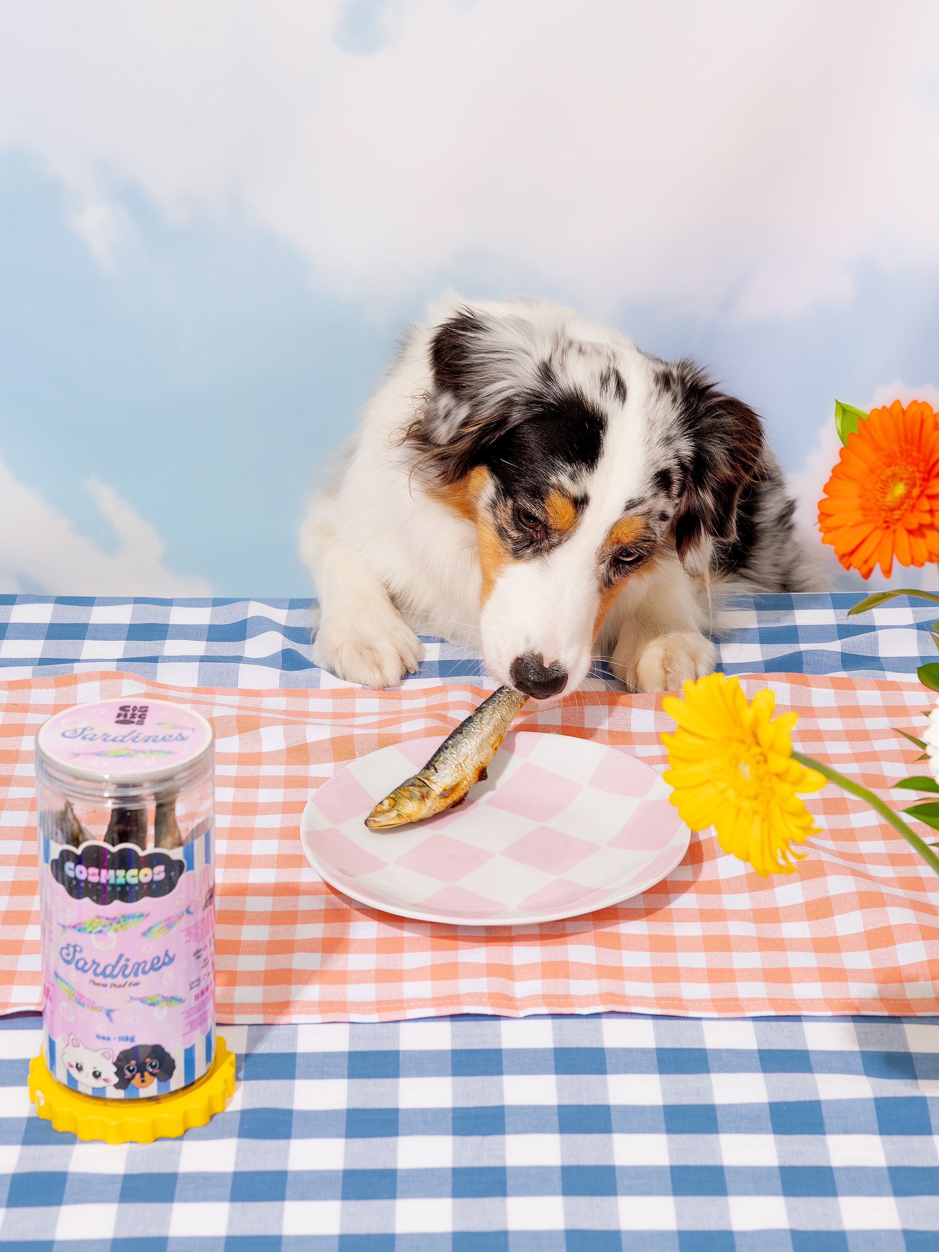 Sardines  – 100% Freeze-Dried Whole Sardines Treats for Cats And Dogs