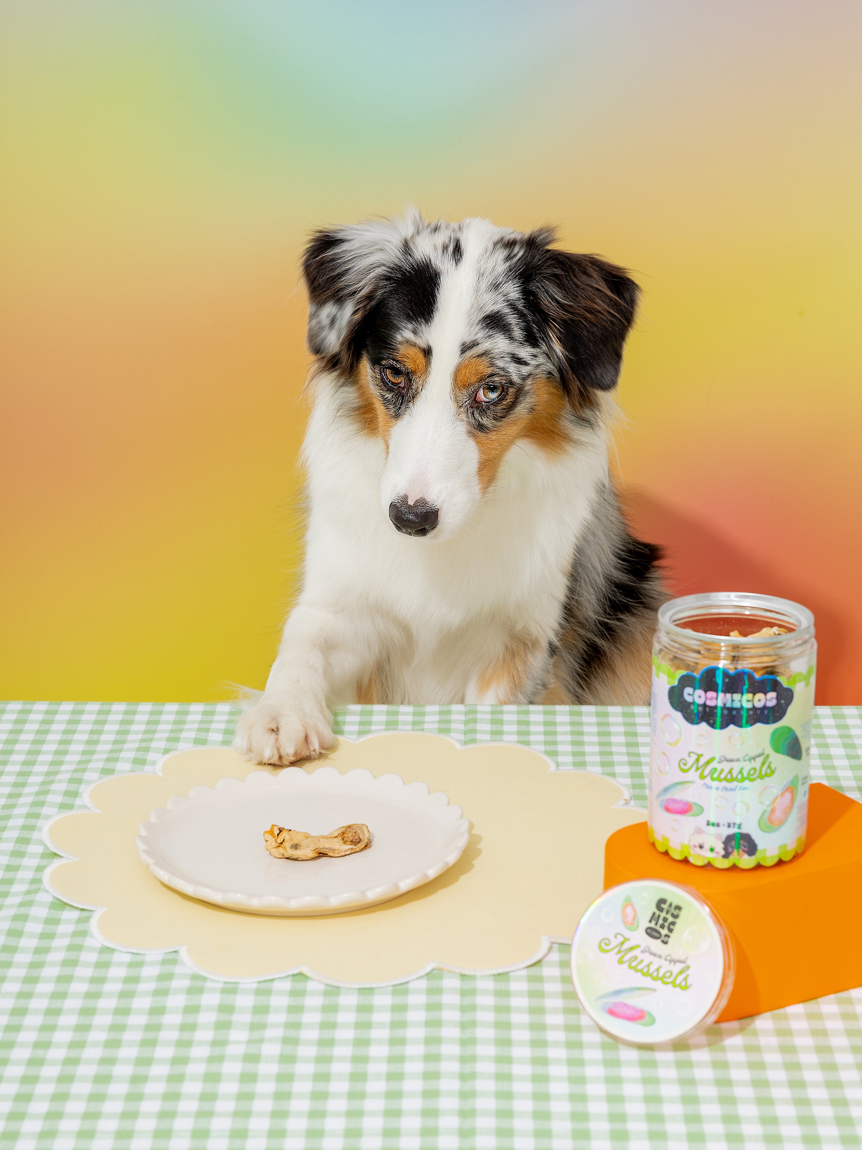 Green Lipped Mussels – Freeze-Dried Superfood Treats for Cats And Dogs