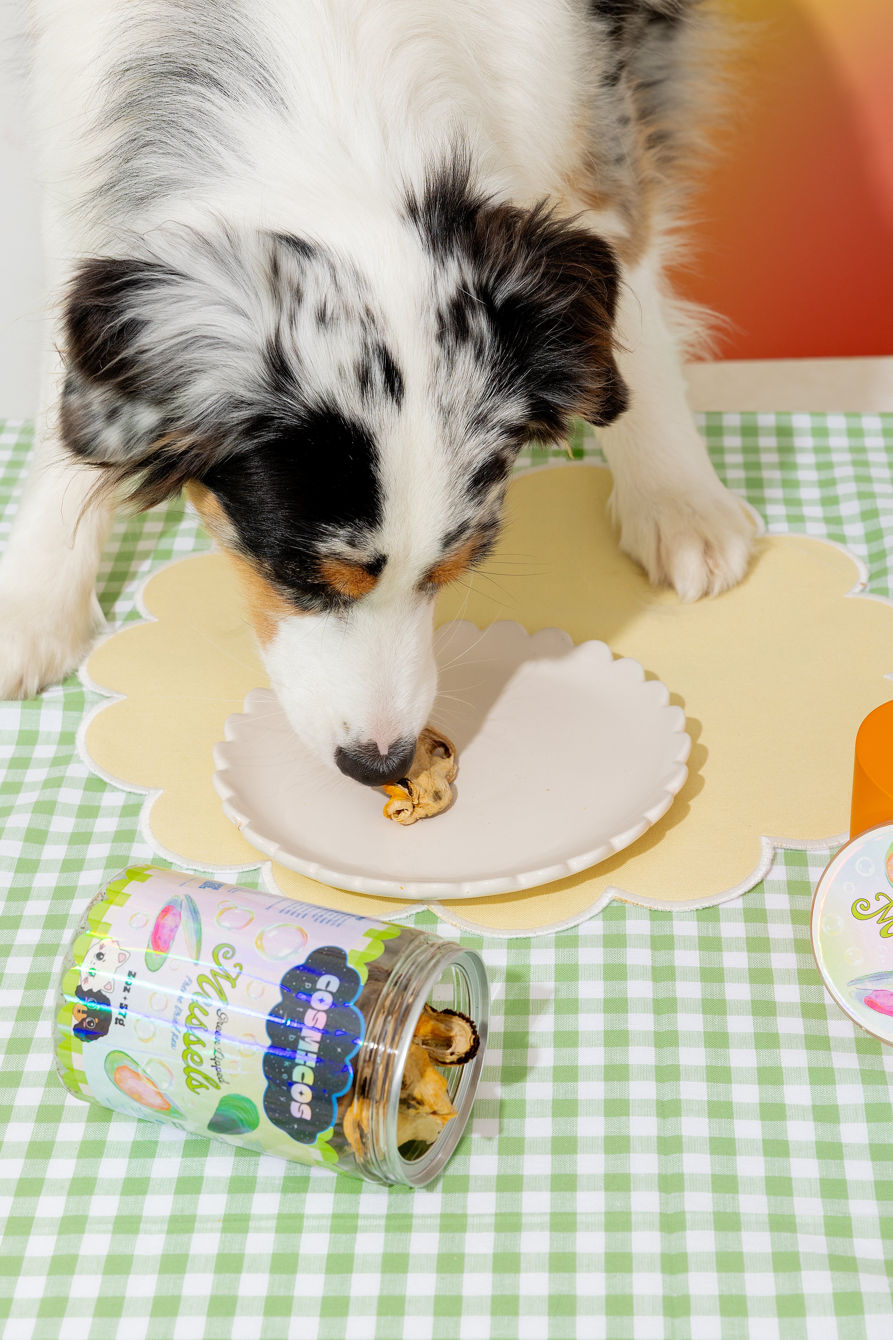 Green Lipped Mussels – Freeze-Dried Superfood Treats for Cats And Dogs