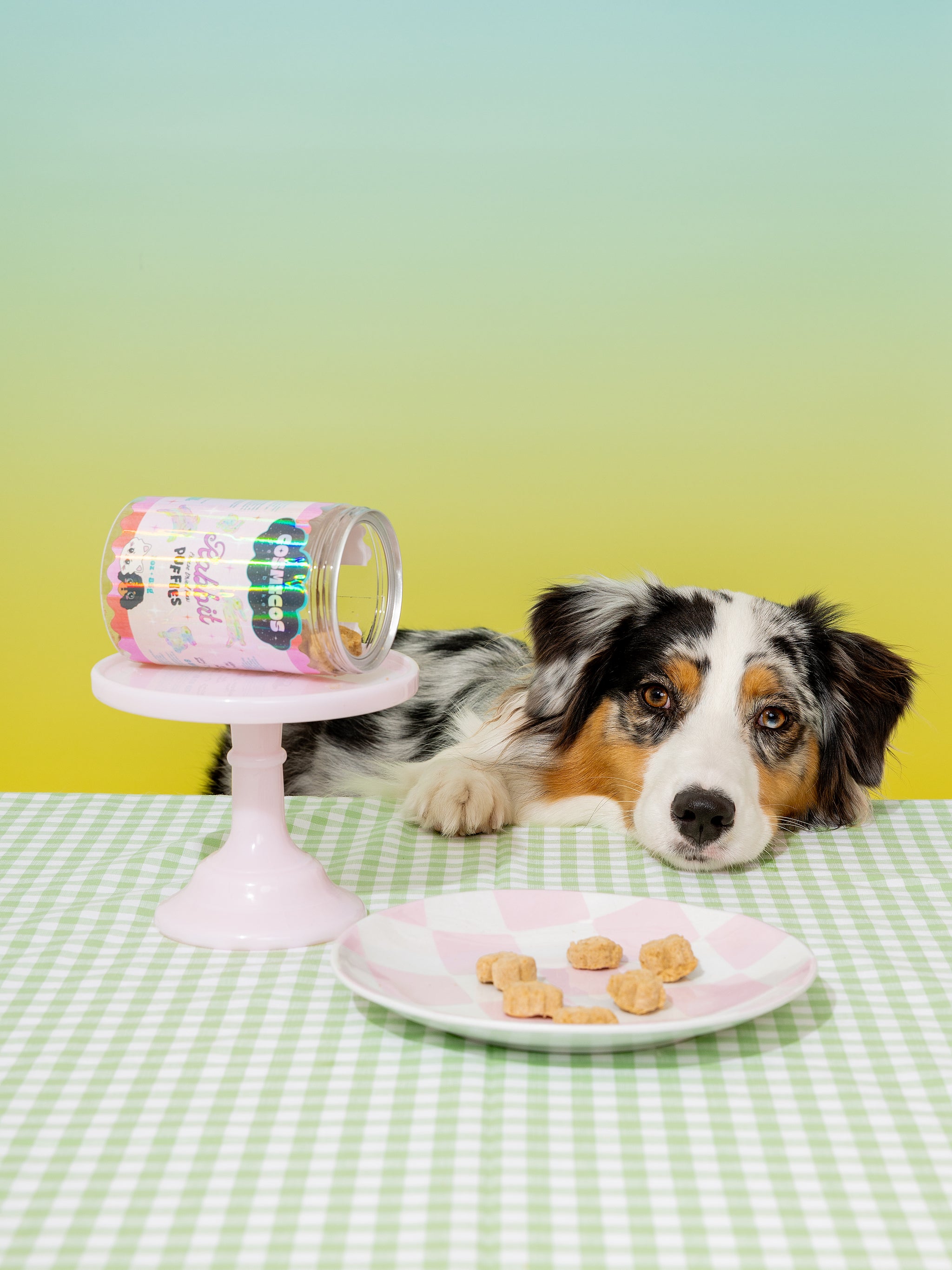 Rabbit Puffies – Freeze-Dried Superfood  Rabbit Treats for Cats And Dogs