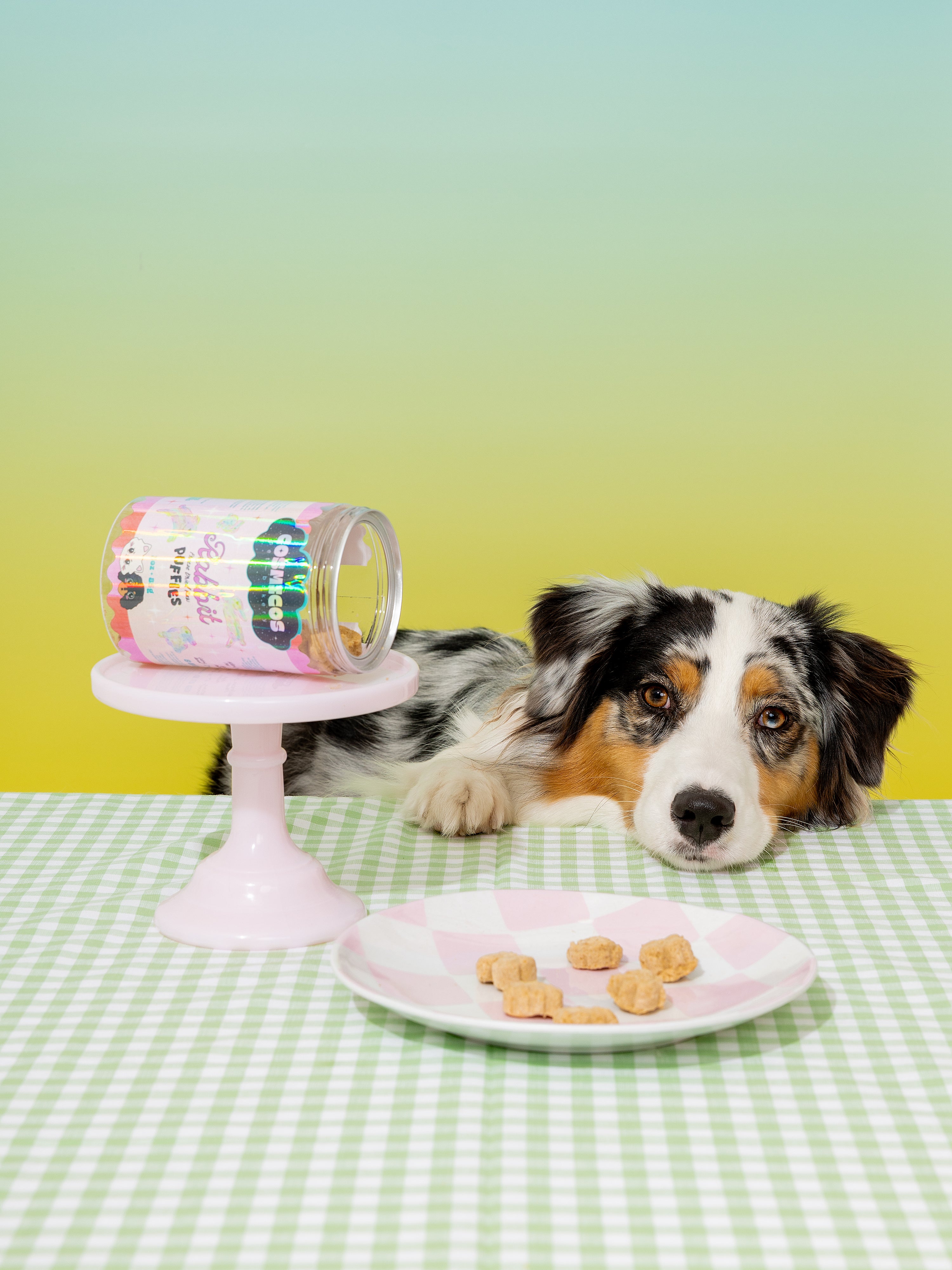 Rabbit Puffies – Freeze-Dried Superfood  Rabbit Treats for Cats And Dogs