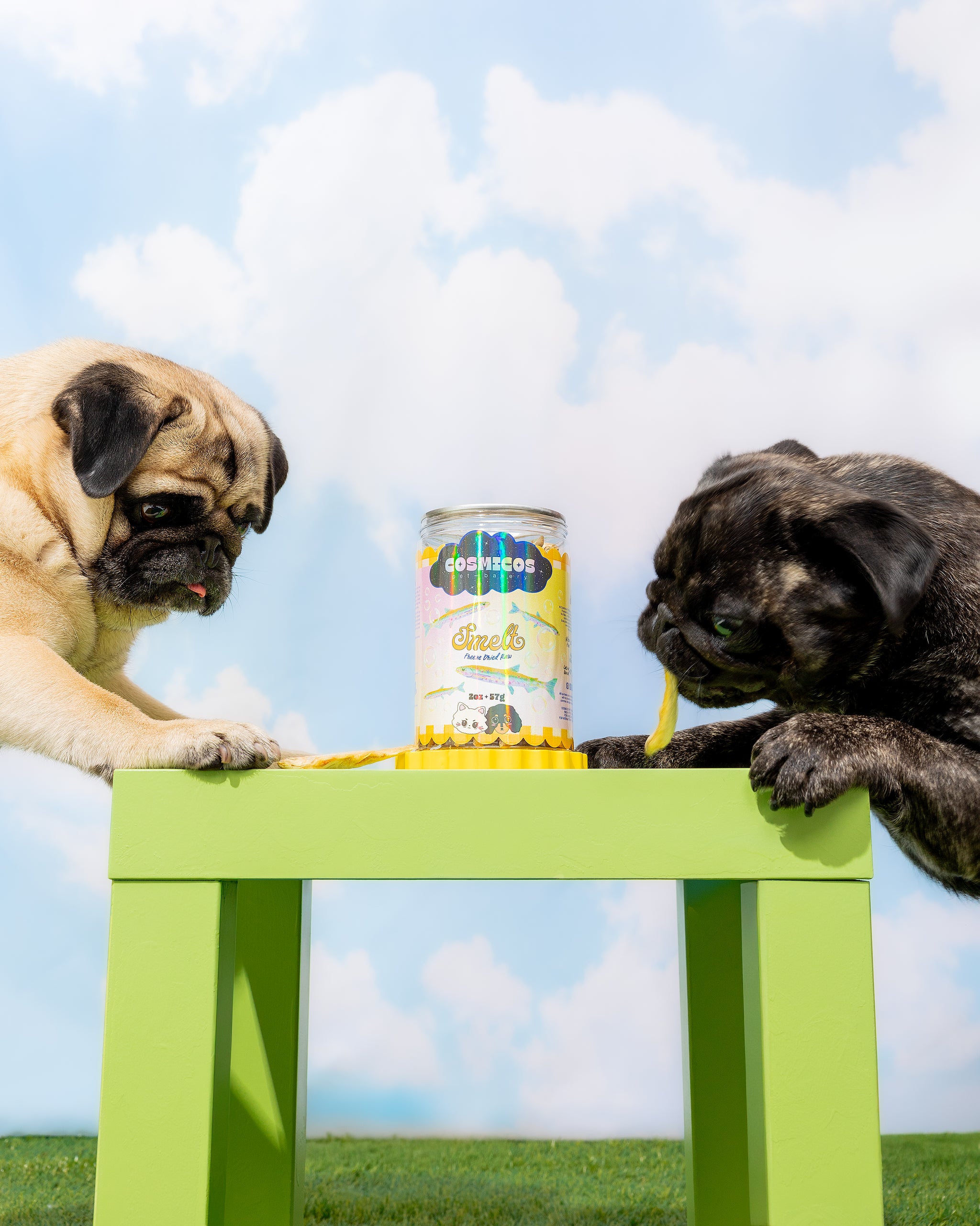 Smelt – Freeze-Dried Whole Fish Superfood for Cats And Dogs