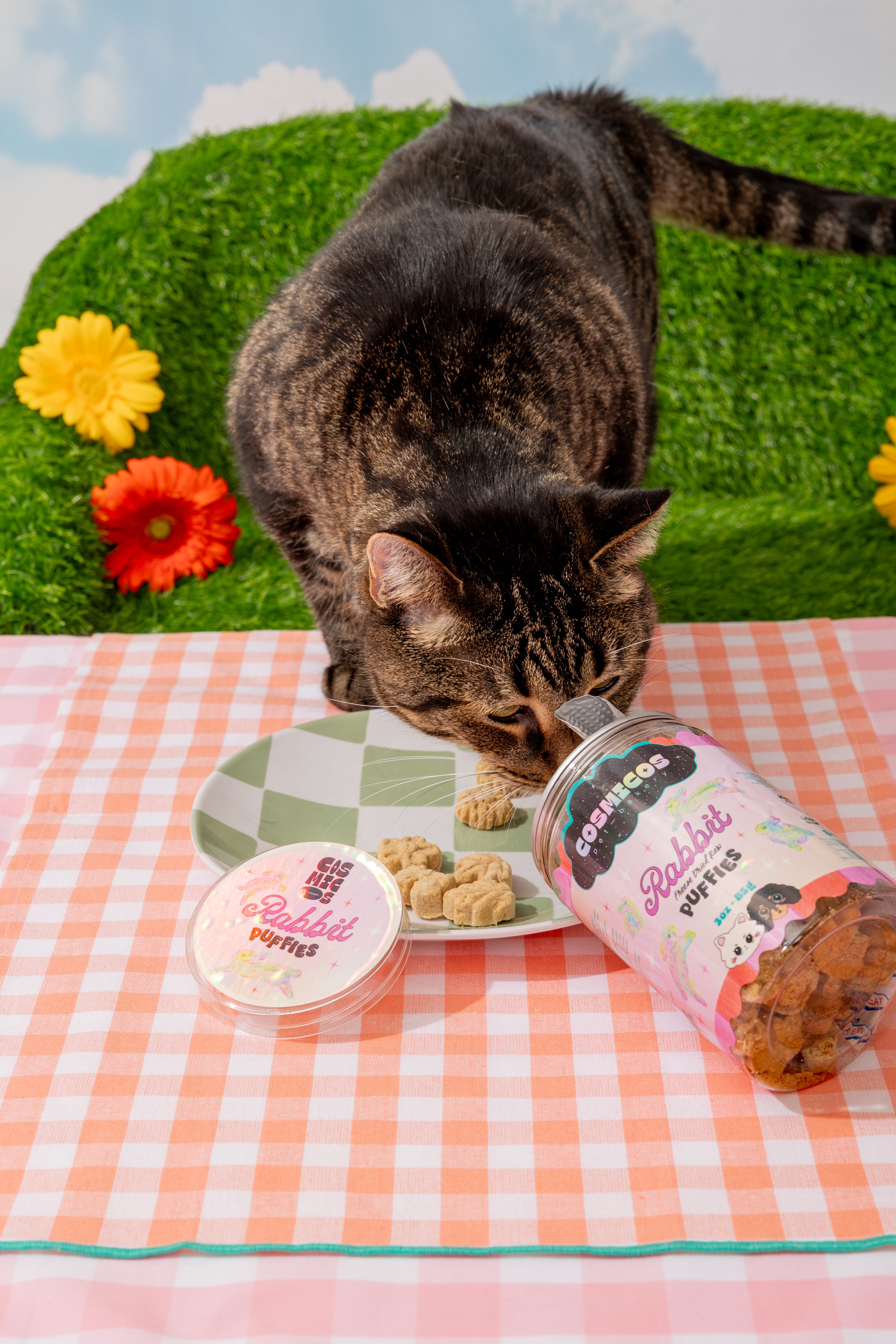 Rabbit Puffies – Freeze-Dried Superfood  Rabbit Treats for Cats And Dogs
