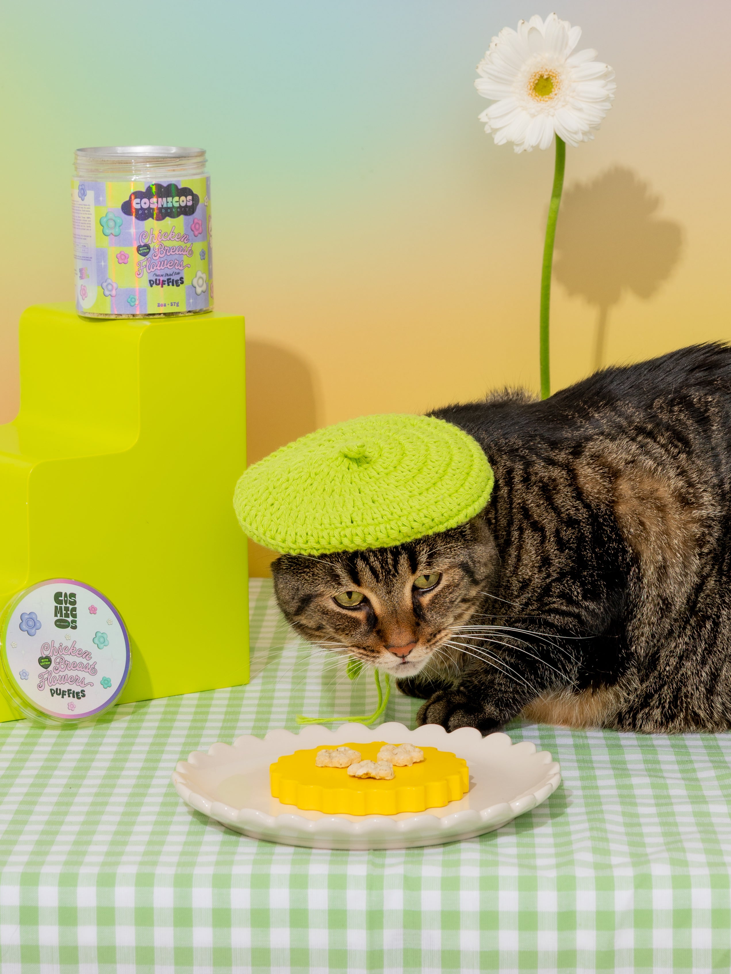Chicken Breast with Catnip Puffies – Freeze-Dried Superfood Treat for Cats